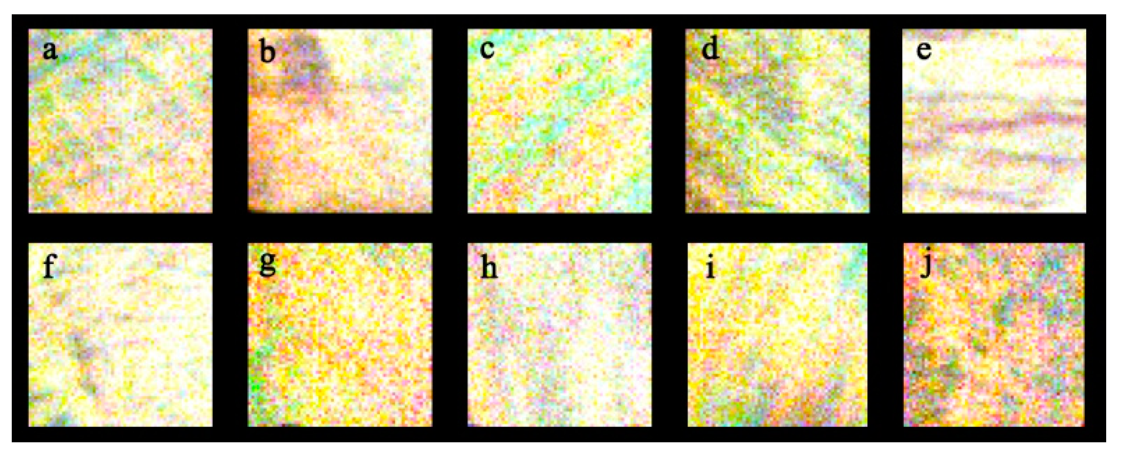 Forests 14 01259 g001