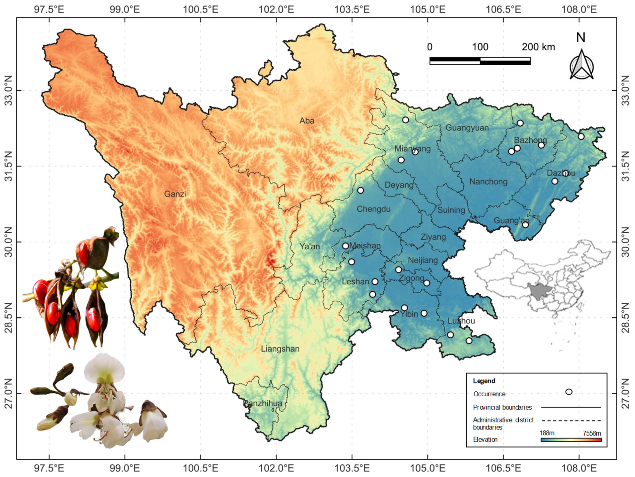 Forests 14 01261 g001