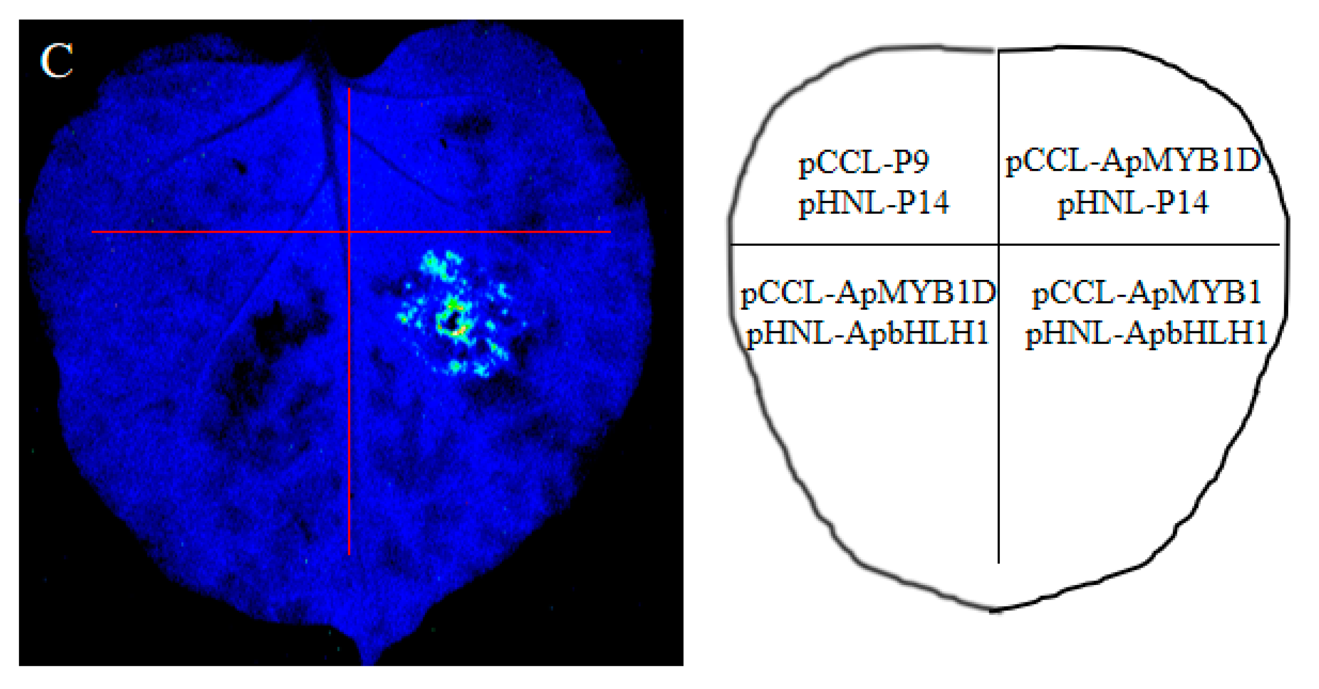 Forests 14 01262 g005b