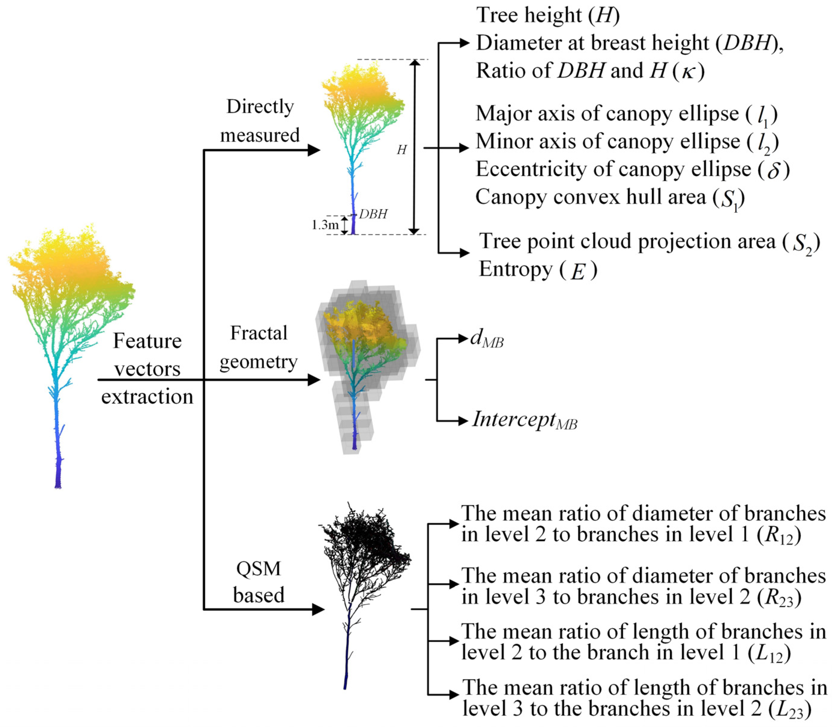 Forests 14 01265 g004 Forests 14 01265 g004