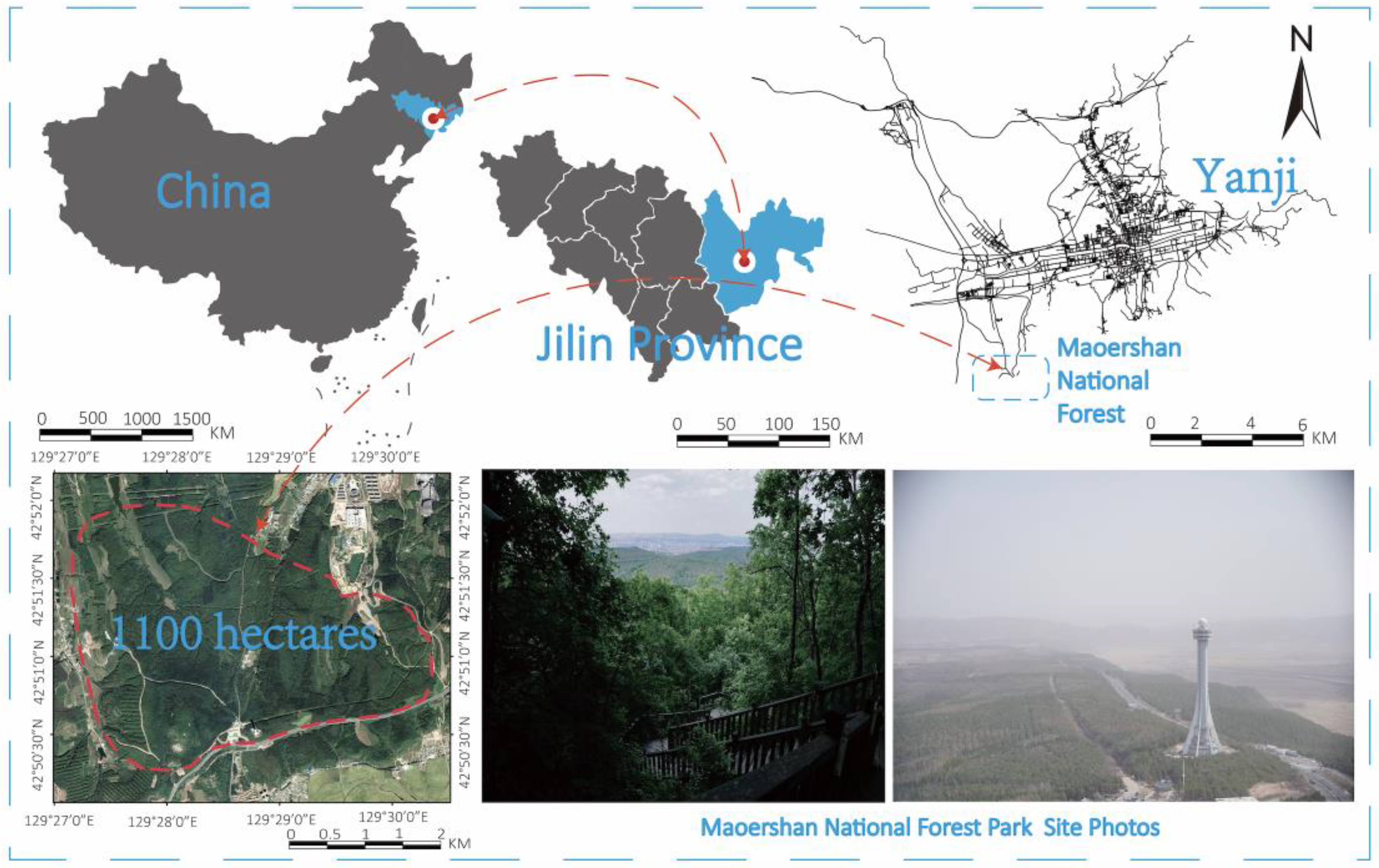 Forests 14 01266 g002 Forests 14 01266 g002
