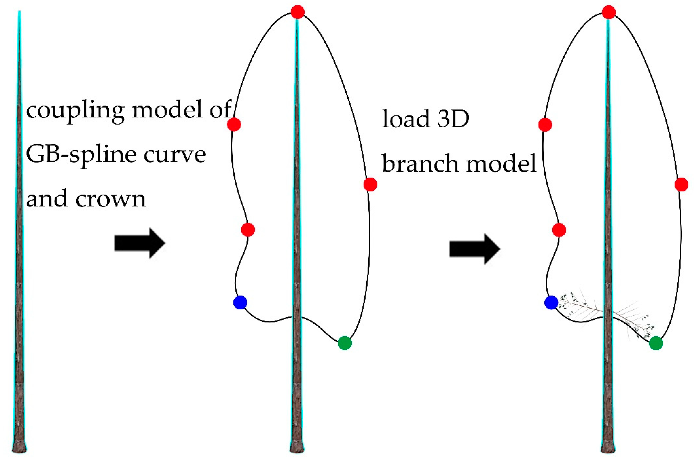Forests 14 01267 g004