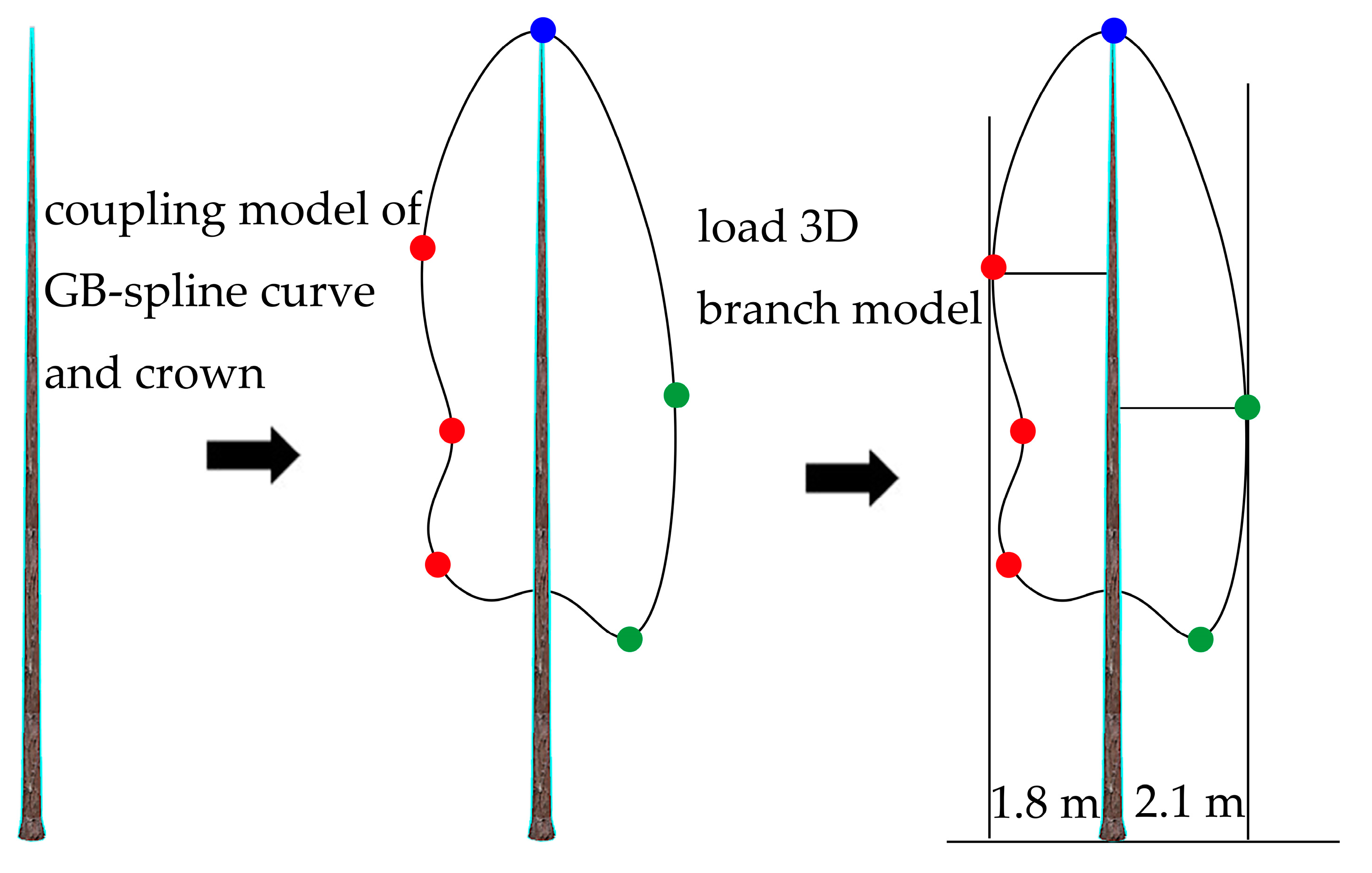 Forests 14 01267 g005