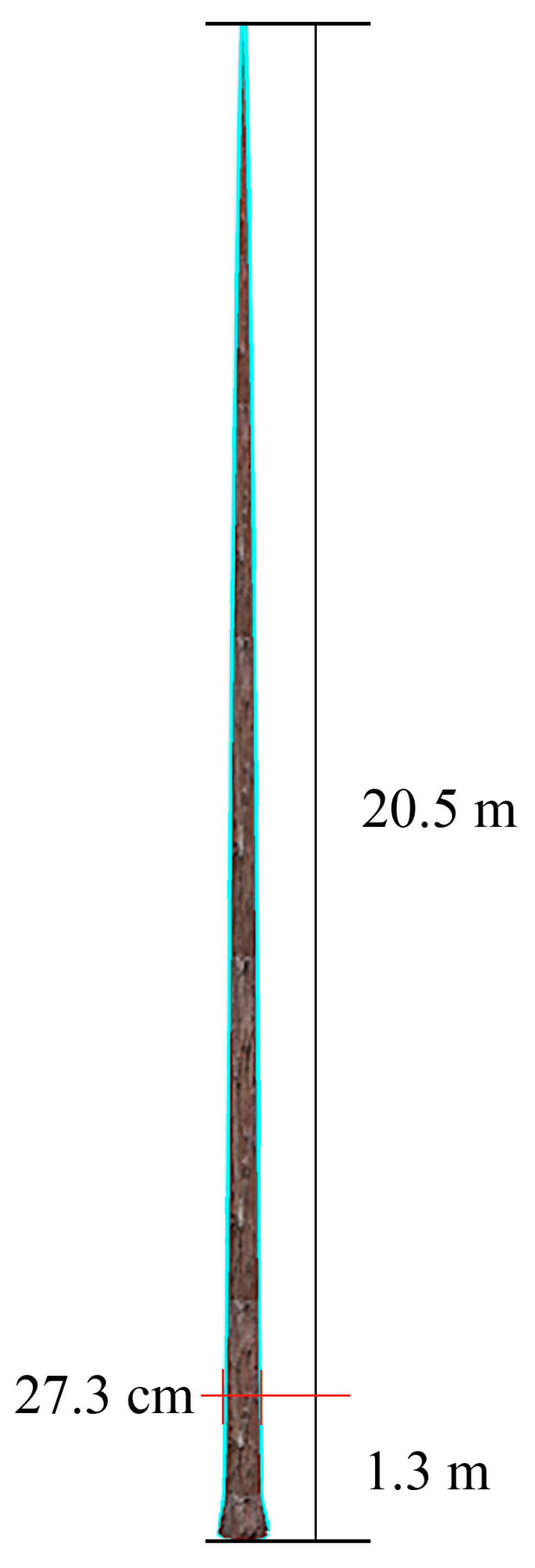 Forests 14 01267 g007