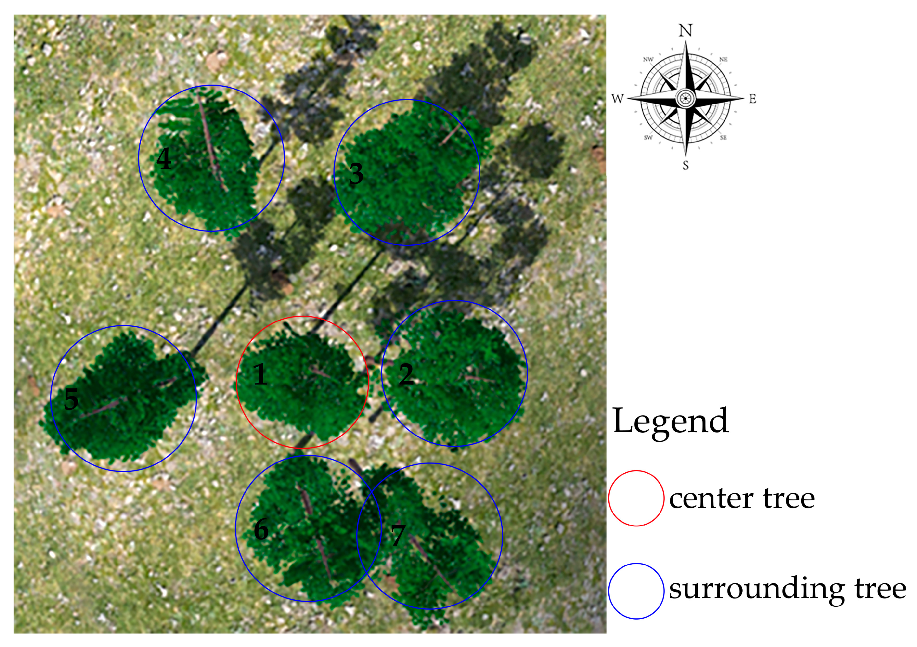 Forests 14 01267 g012