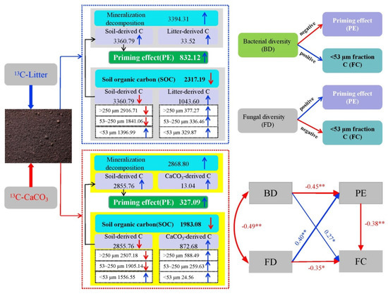 Exogenous Carbon Addition Reduces Soil Organic Carbon: The Effects