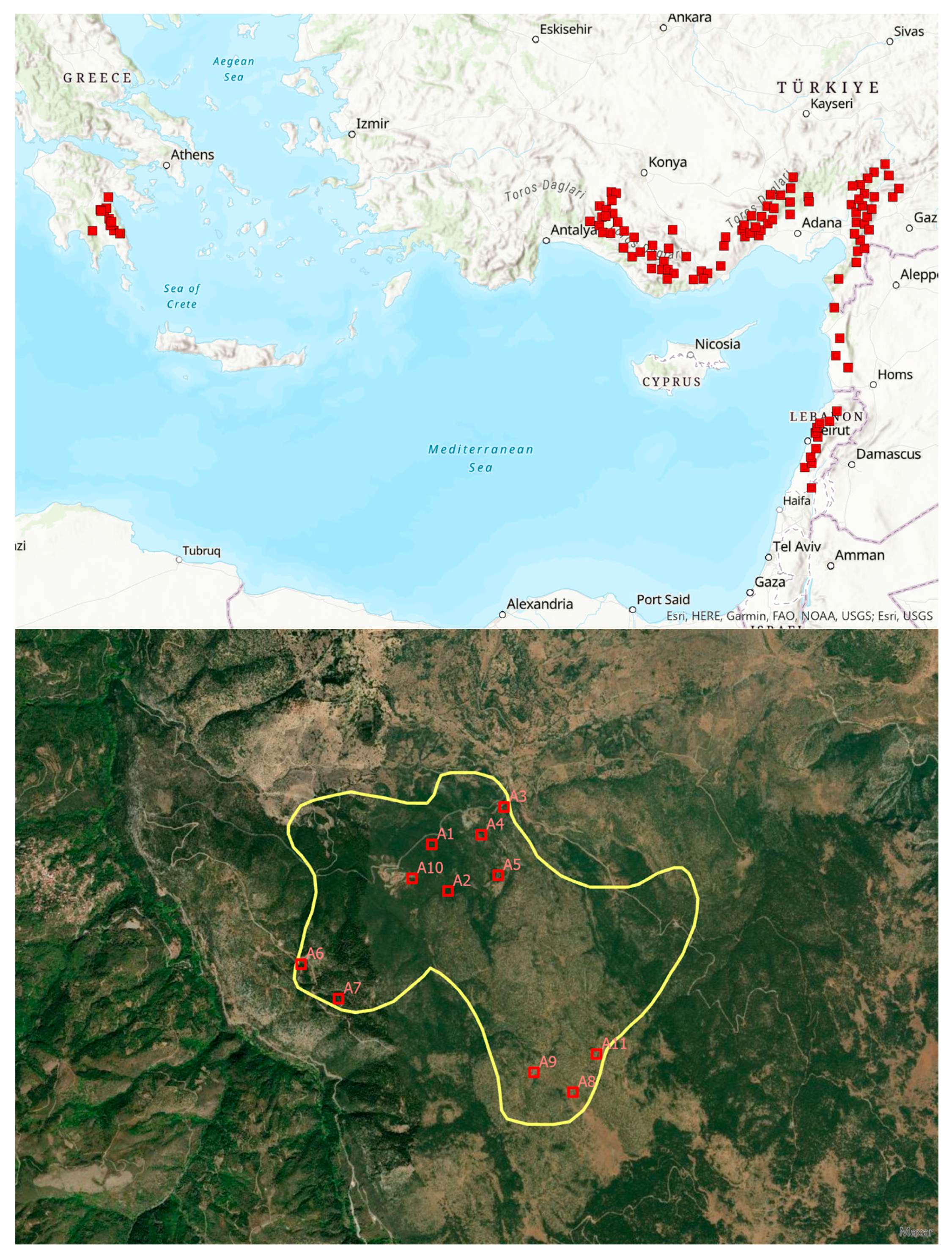 Forests 14 01271 g001
