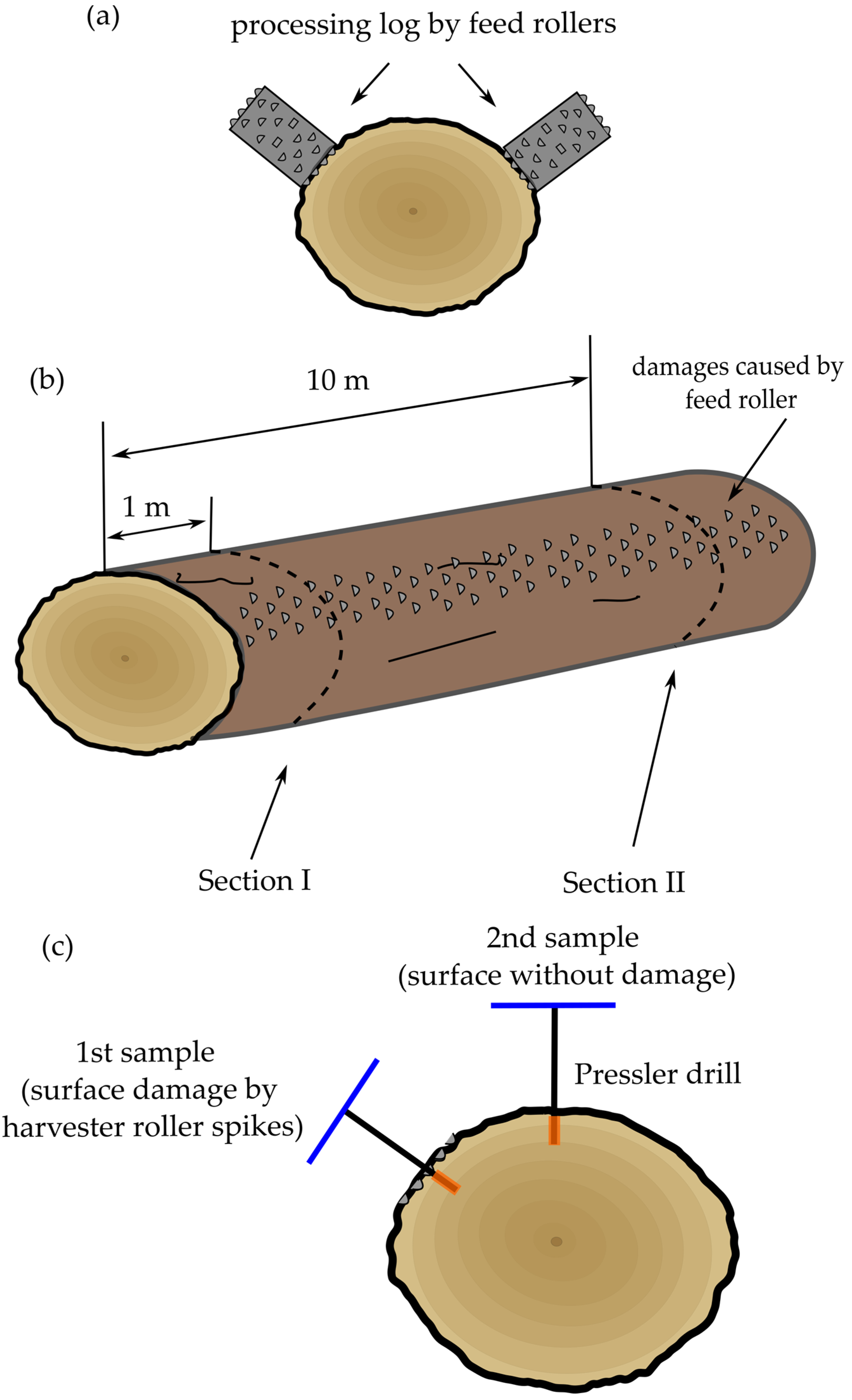 Forests 14 01276 g001