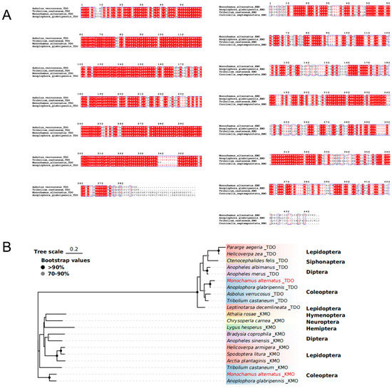 Pseudomonas aeruginosa: pathogenesis, virulence factors
