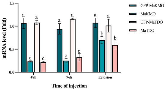 Pseudomonas aeruginosa: pathogenesis, virulence factors