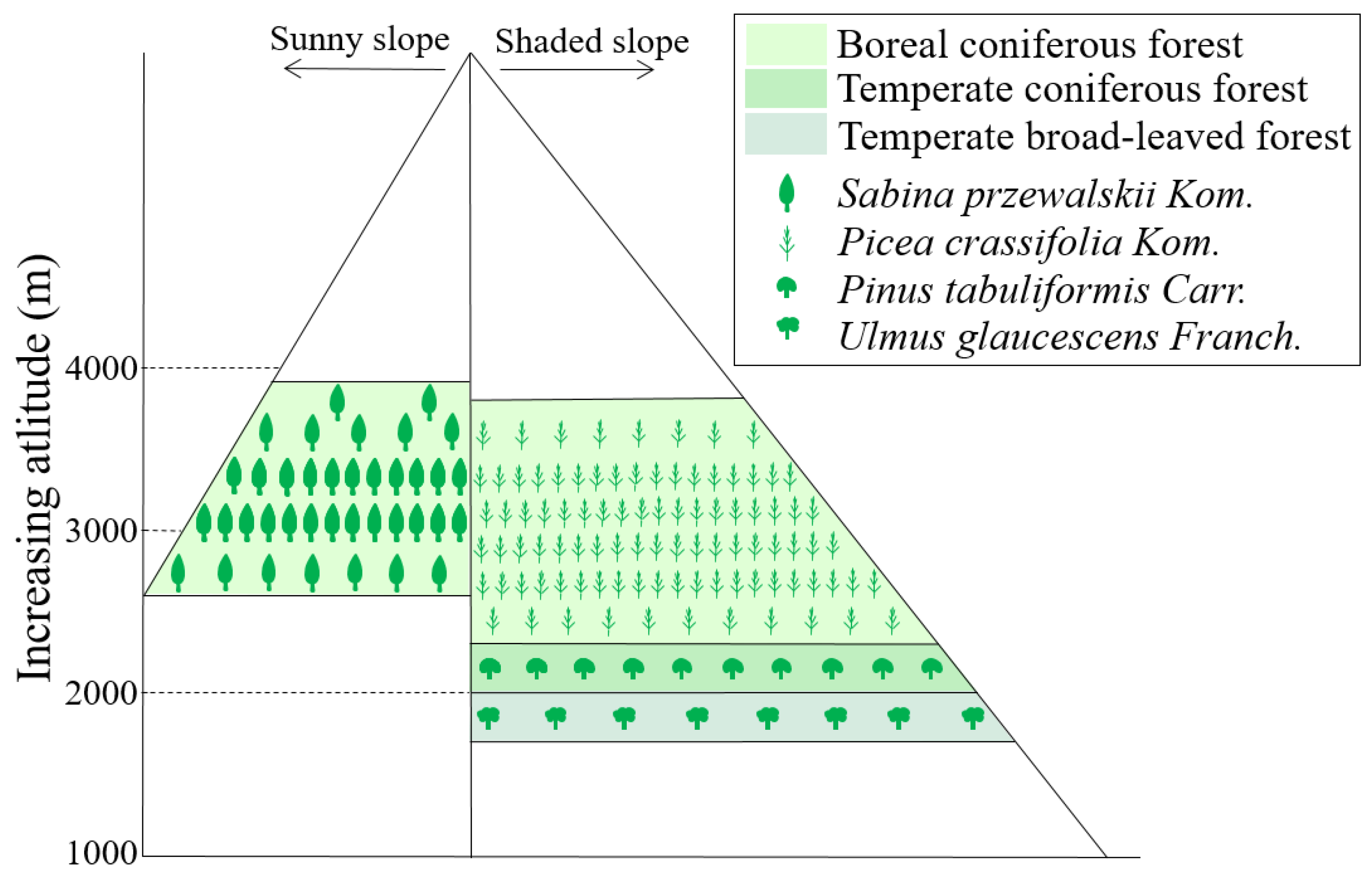 Forests 14 01284 g002 Forests 14 01284 g002