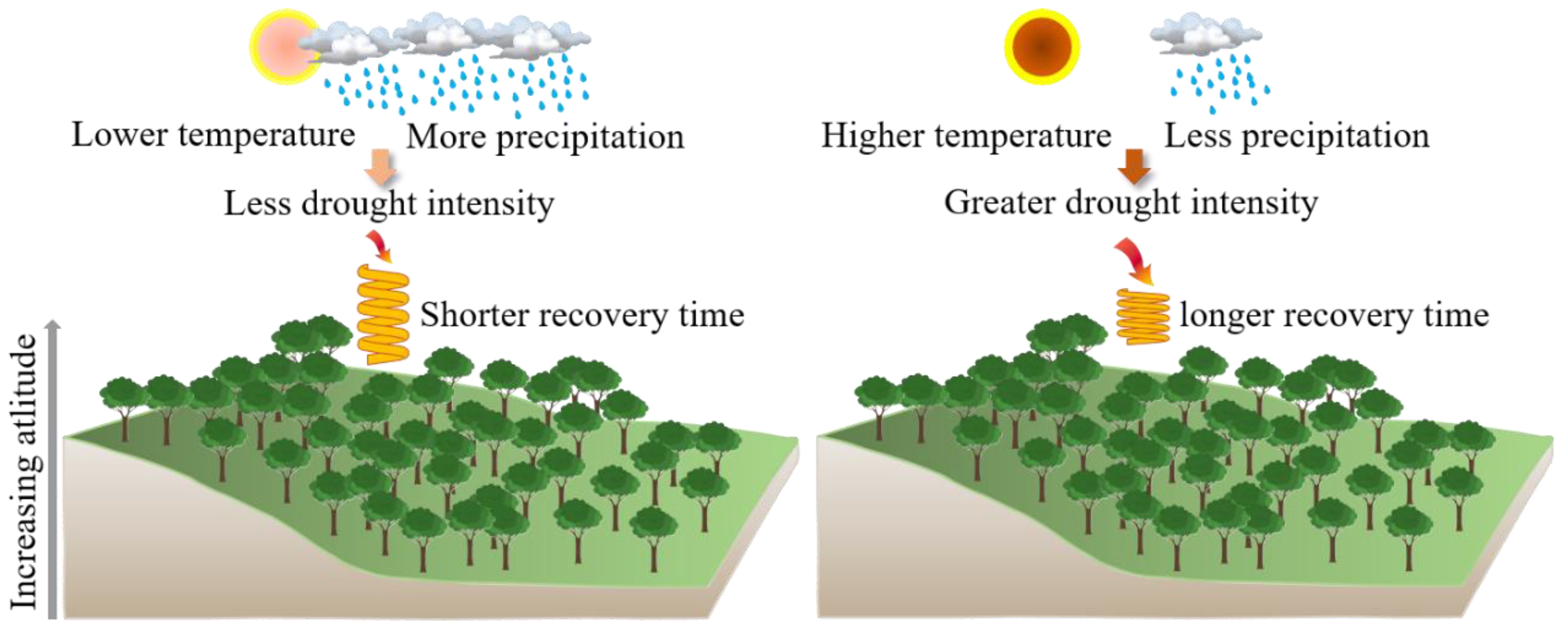 Forests 14 01284 g003 Forests 14 01284 g003
