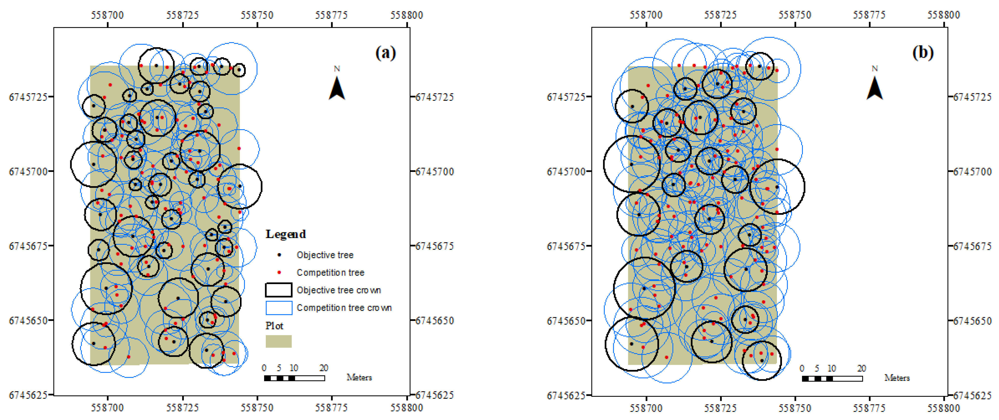 Forests 14 01285 g002