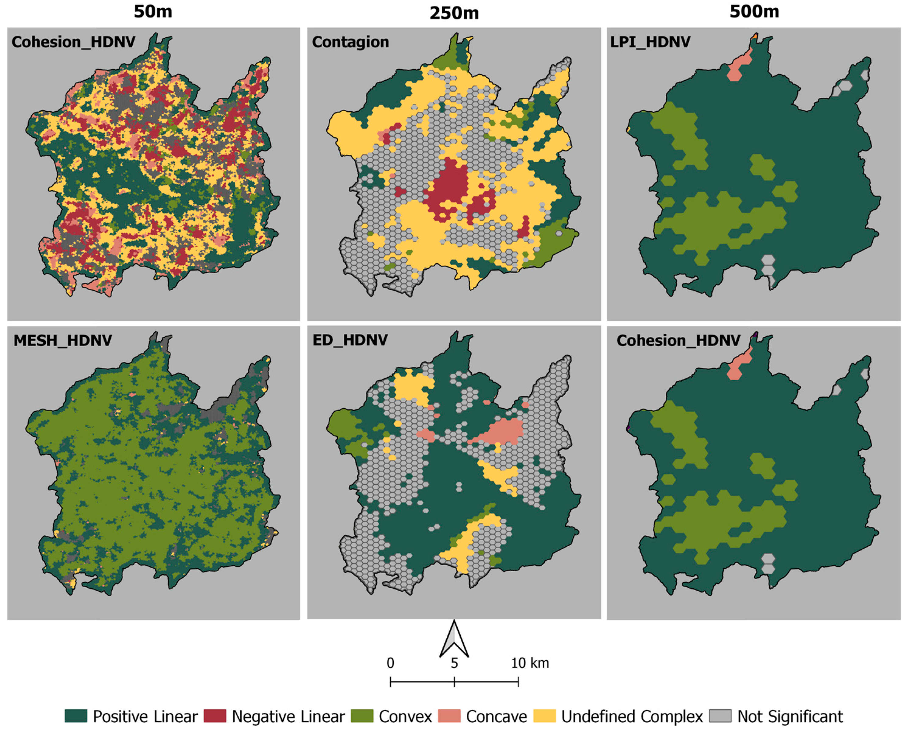 Forests 14 01286 g006