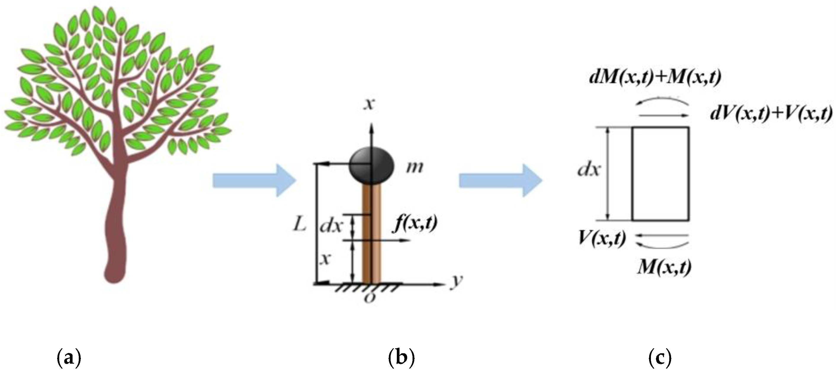 Forests 14 01287 g001
