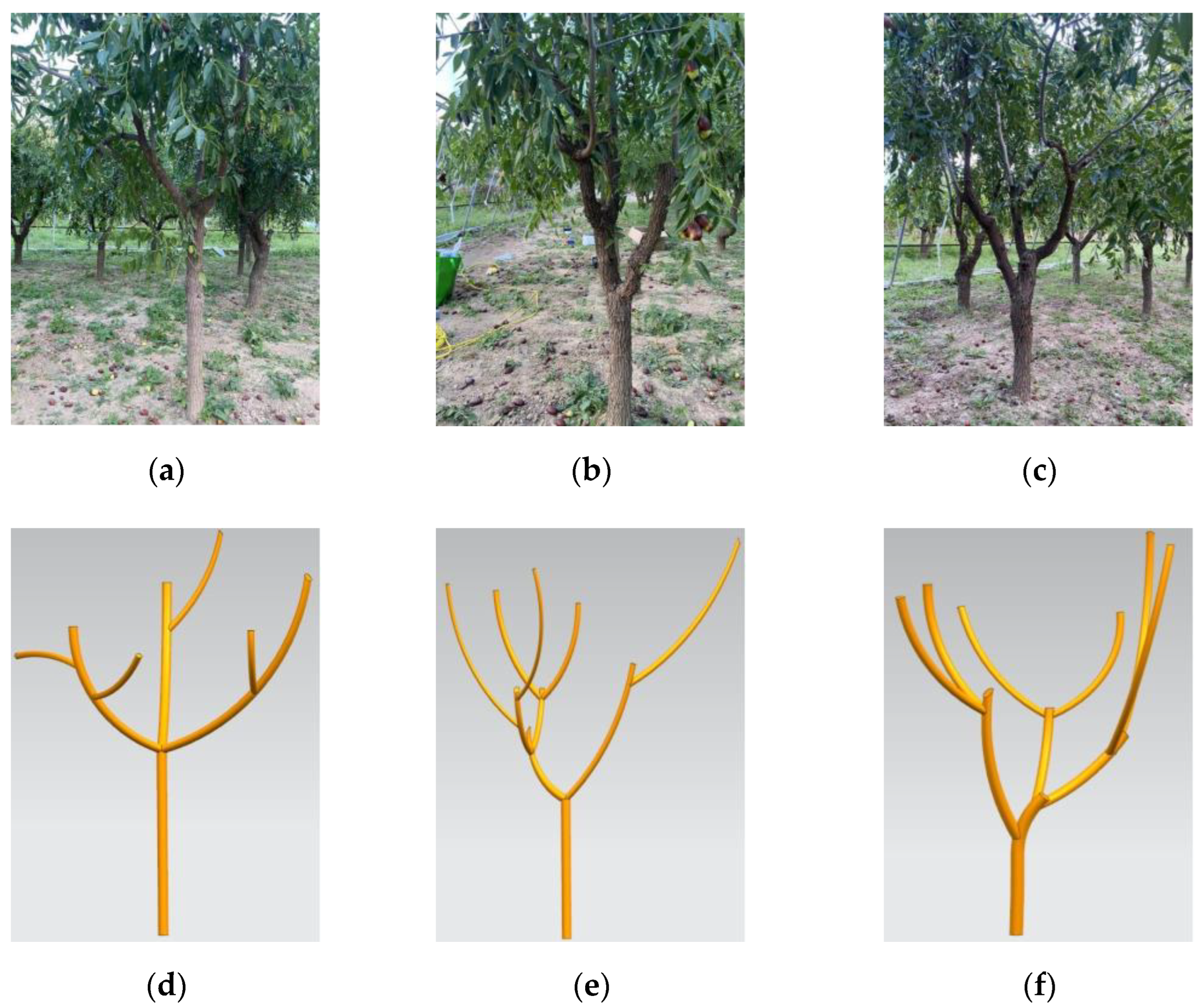 Forests 14 01287 g002