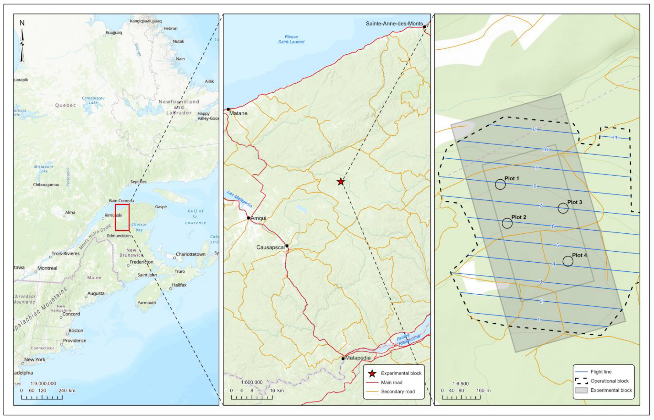 Forests 14 01289 g001