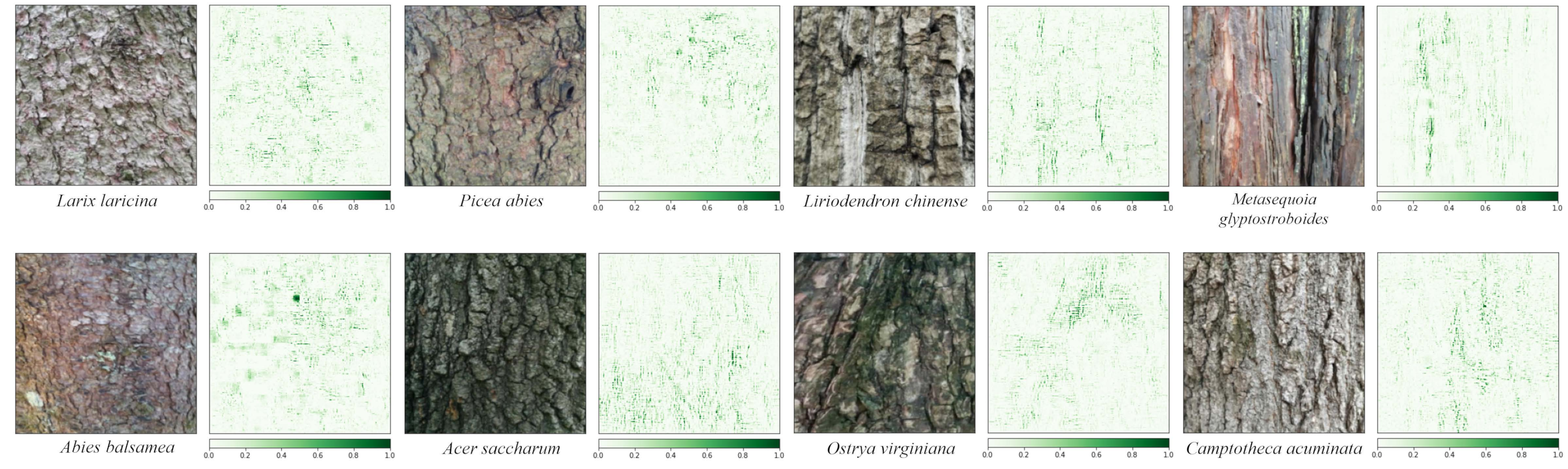 Forests 14 01292 g005 Forests 14 01292 g005