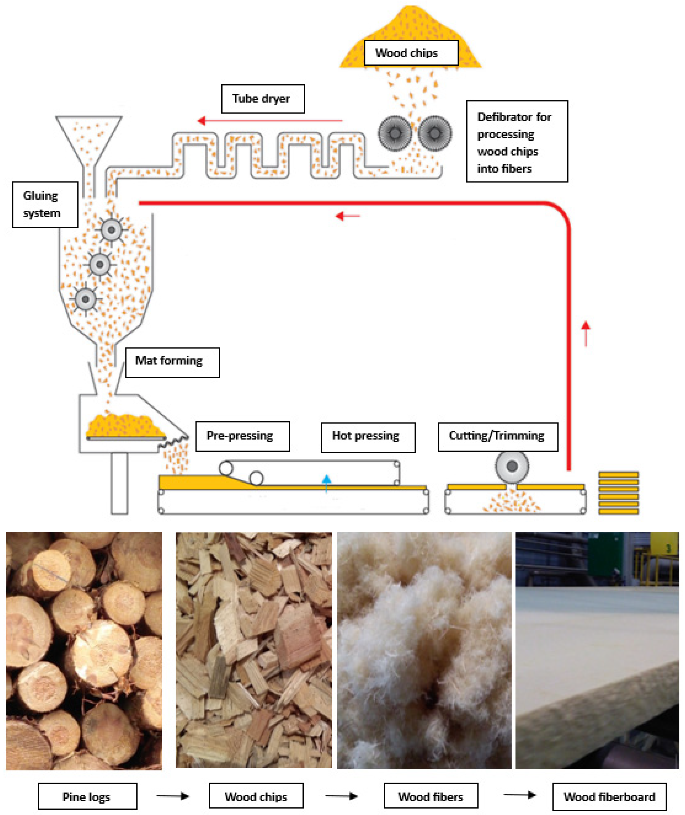 Forests 14 01300 g001 Forests 14 01300 g001