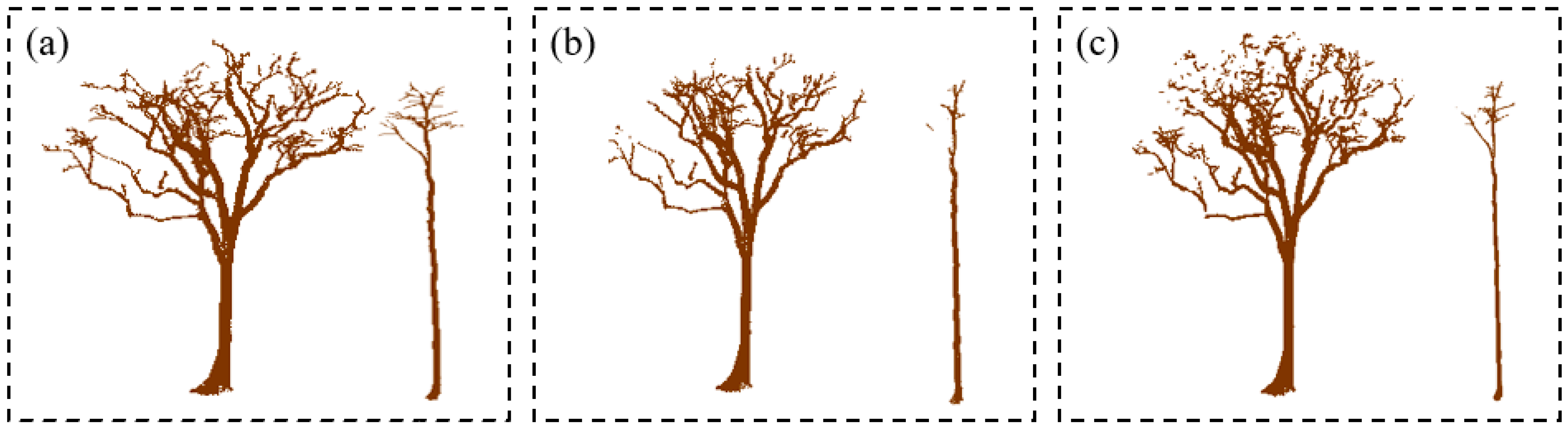 Forests 14 01303 g006