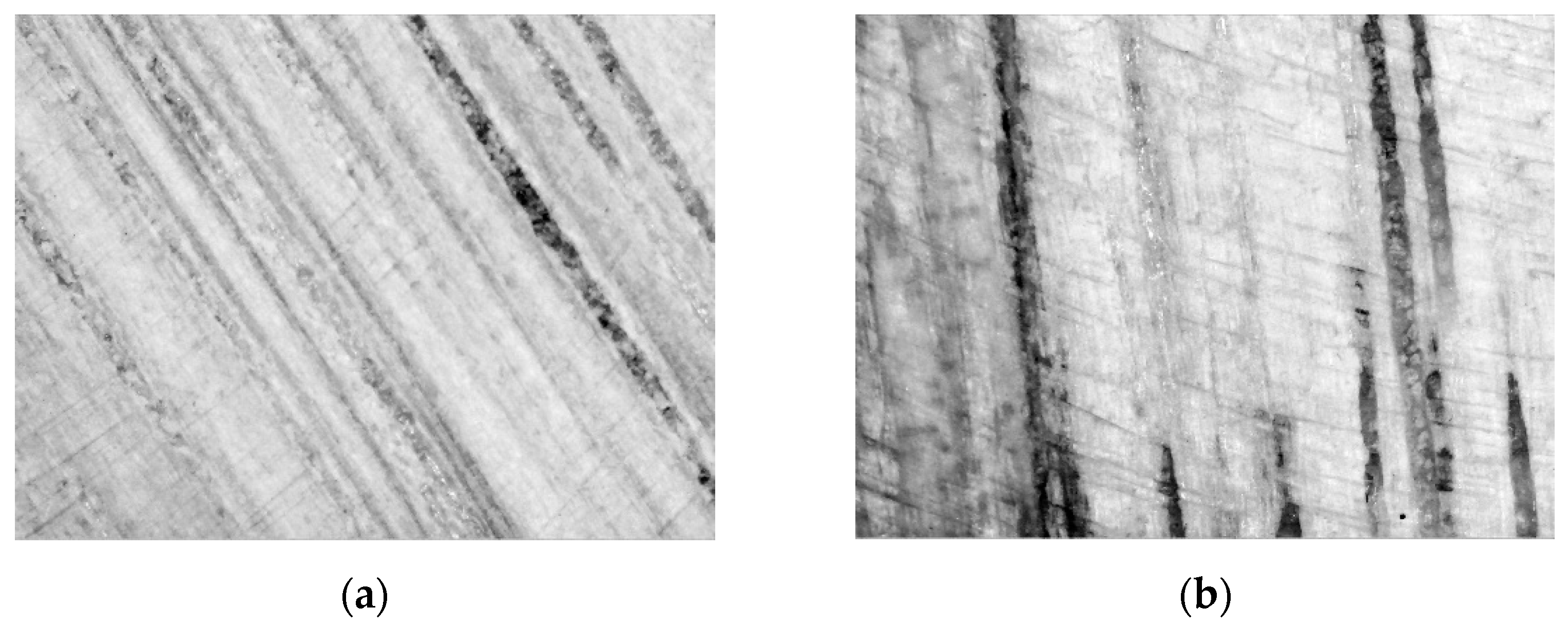 Forests 14 01309 g006 Forests 14 01309 g006