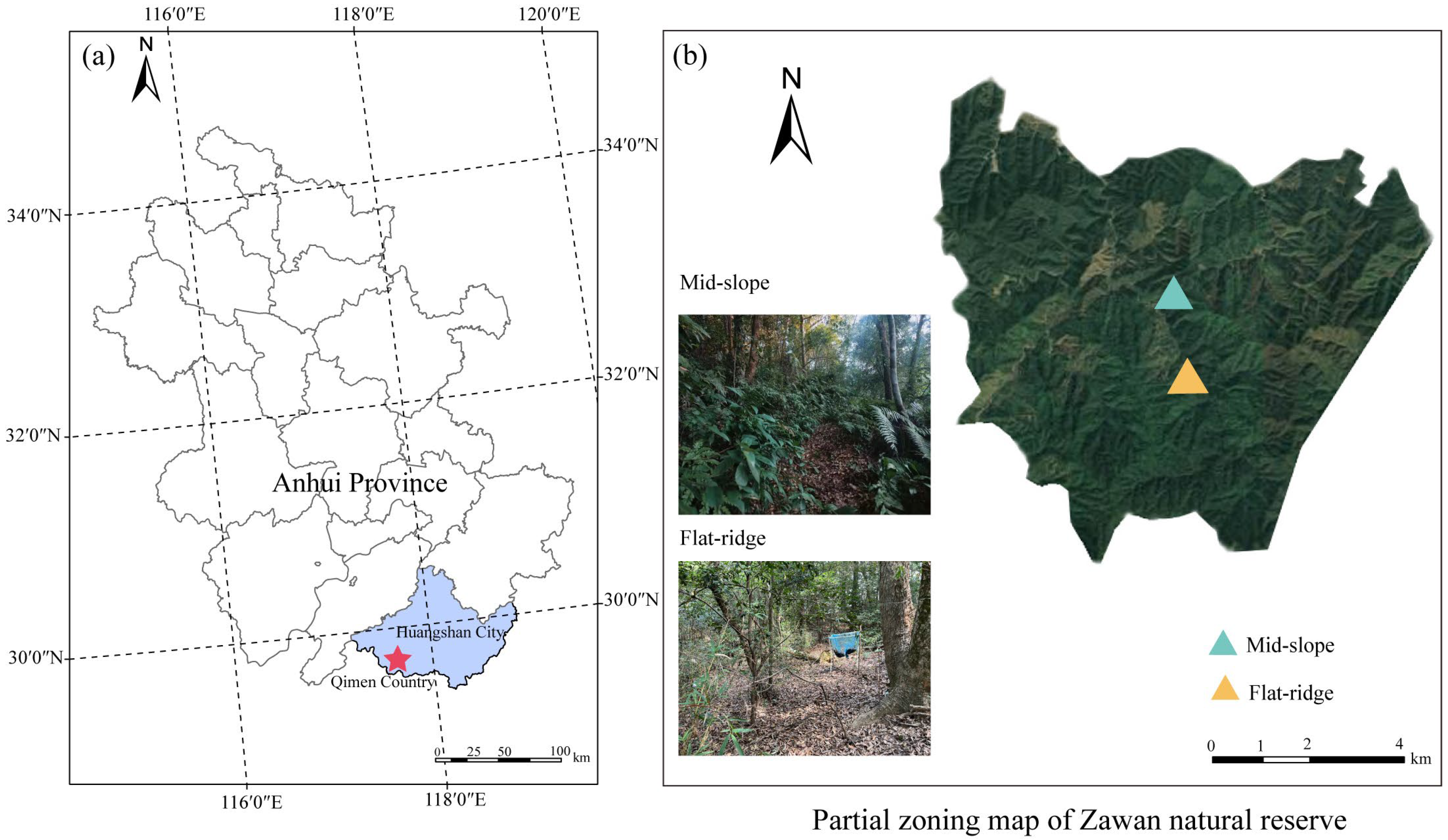Forests 14 01314 g001 Forests 14 01314 g001
