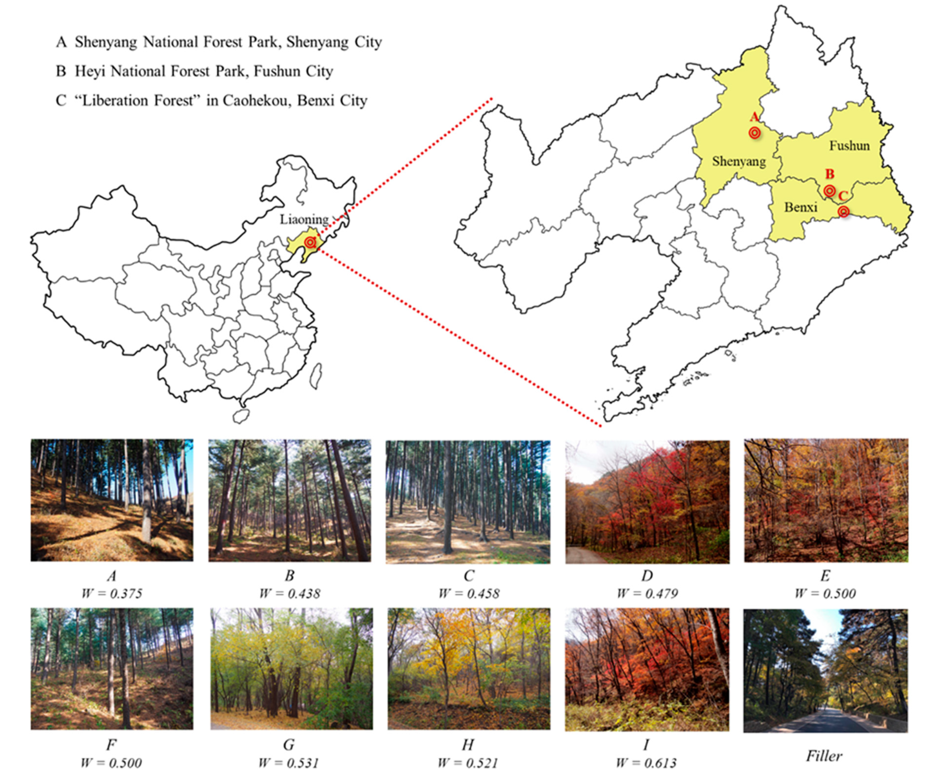 Forests 14 01319 g001 Forests 14 01319 g001