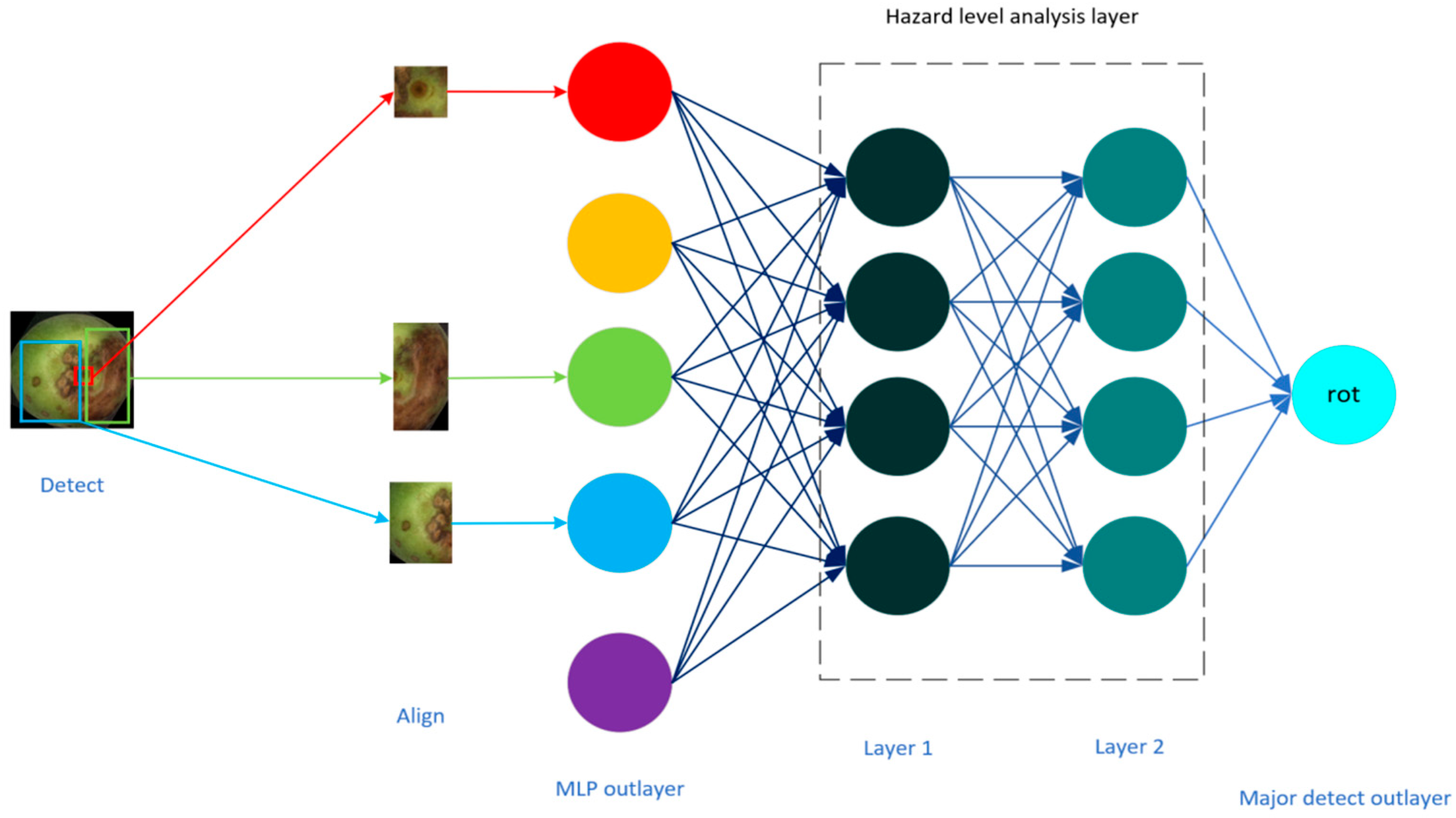 Forests 14 01323 g005