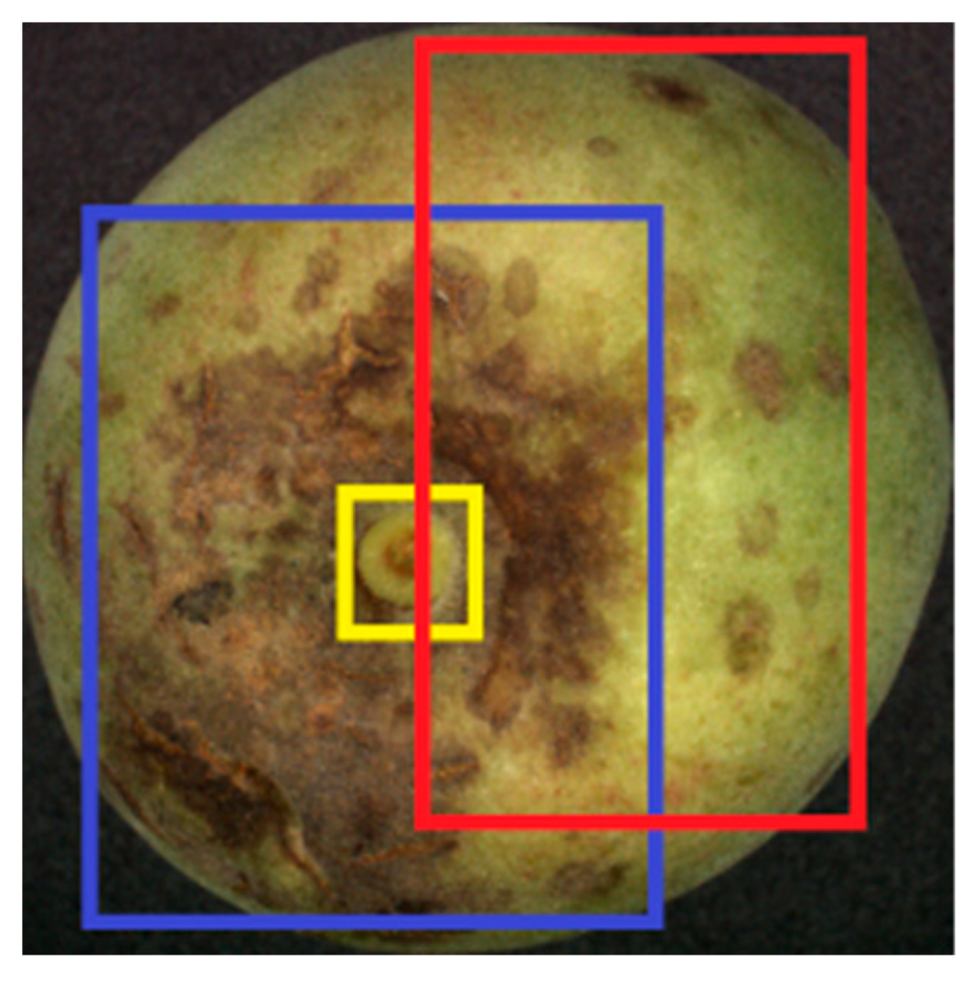 Forests 14 01323 g009