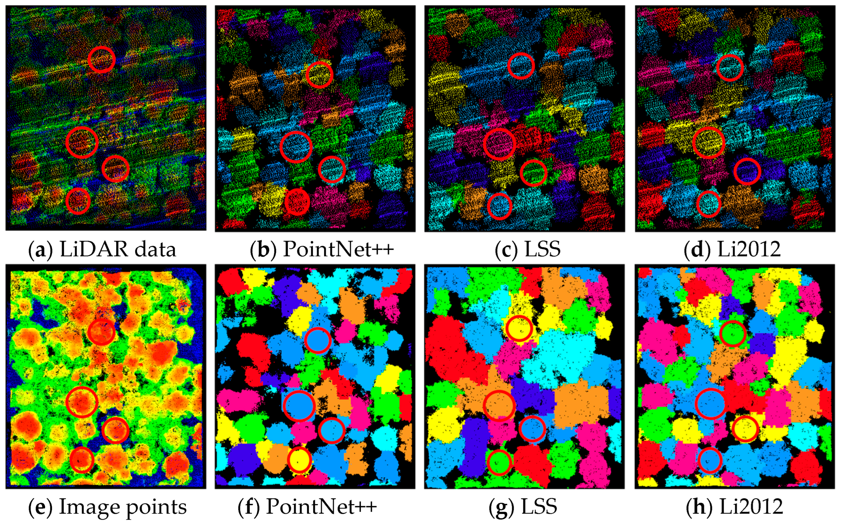 Forests 14 01327 g009 Forests 14 01327 g009