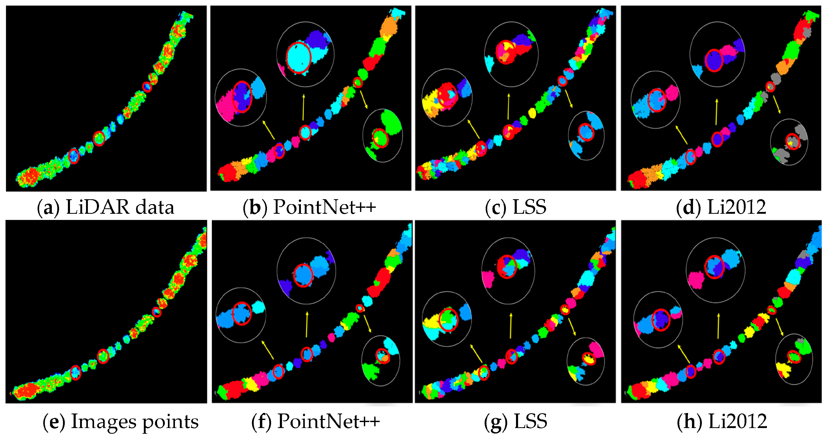 Forests 14 01327 g010 Forests 14 01327 g010