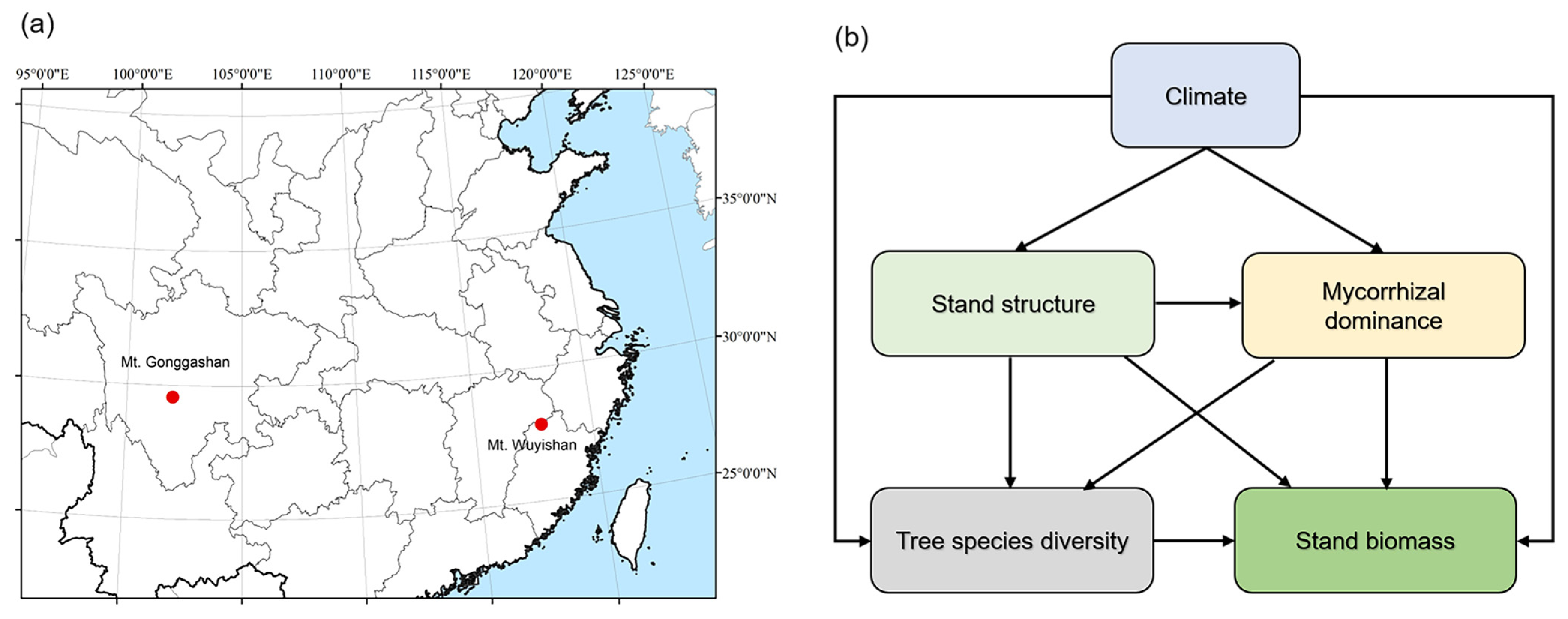 Forests 14 01337 g001 Forests 14 01337 g001