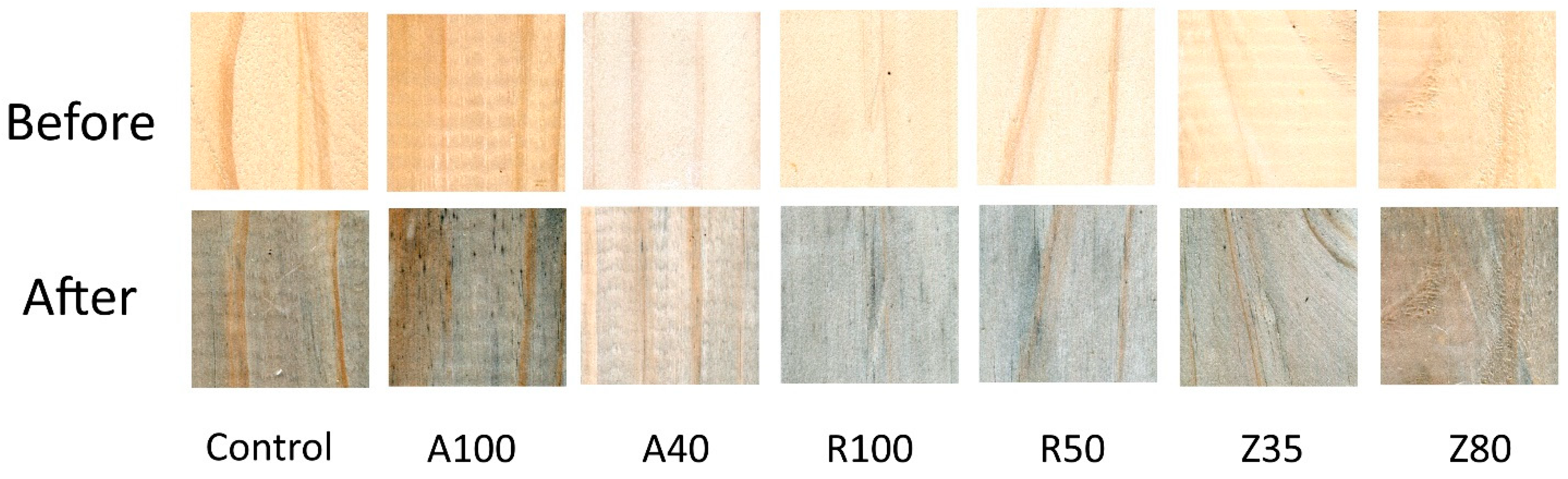 Forests 14 01338 g001 Forests 14 01338 g001