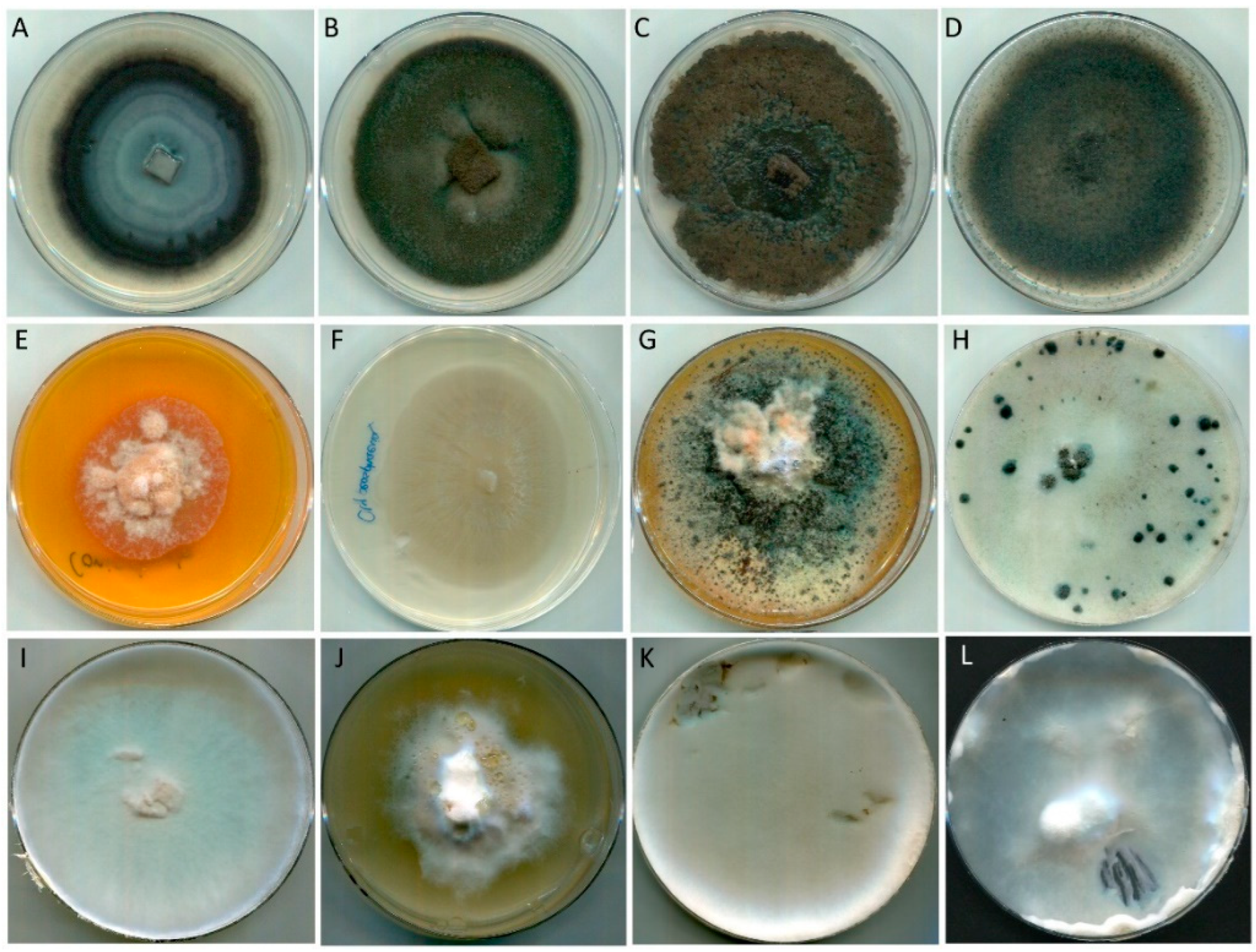 Forests 14 01338 g002 Forests 14 01338 g002