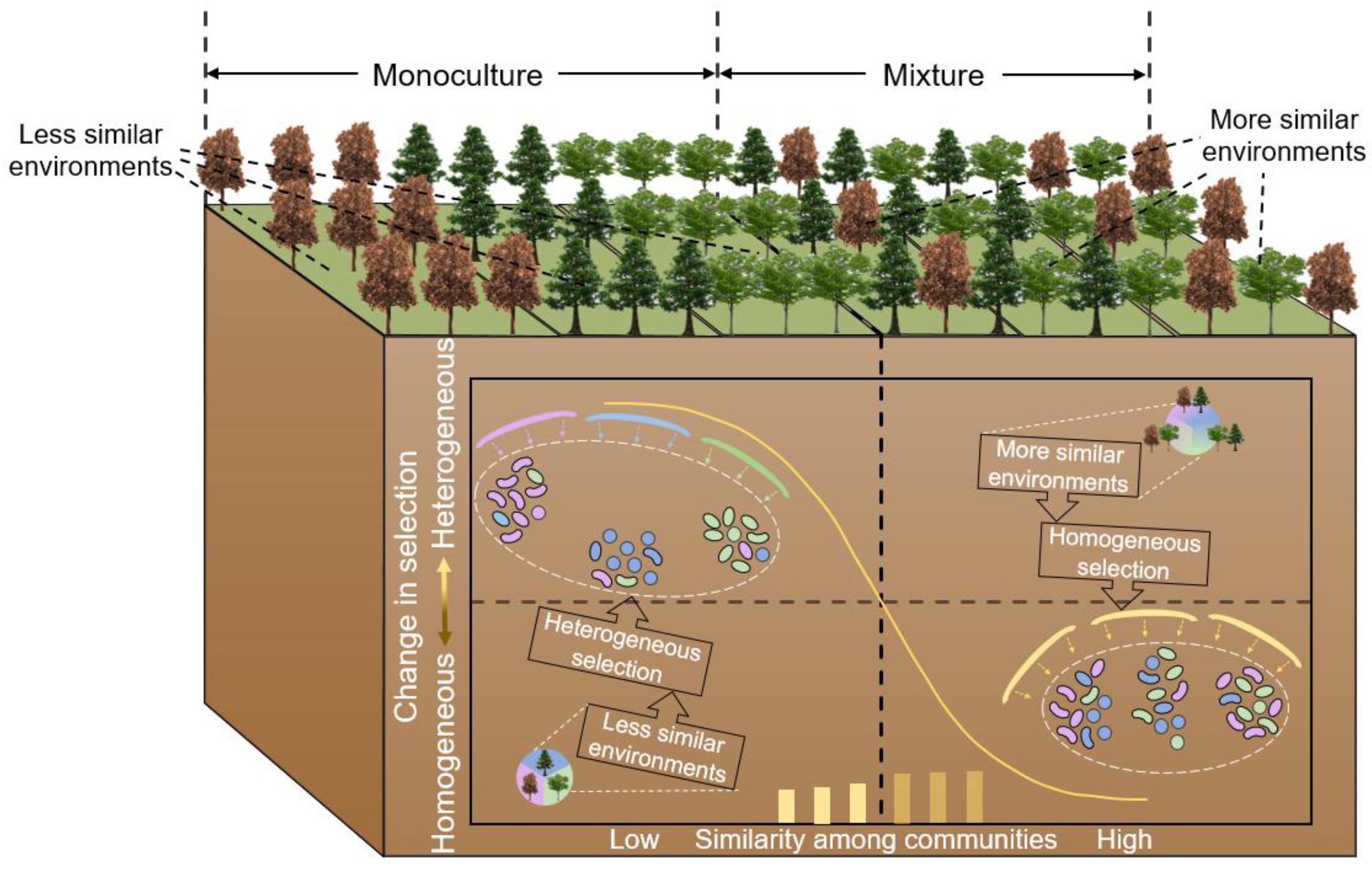 Forests 14 01341 g001 Forests 14 01341 g001