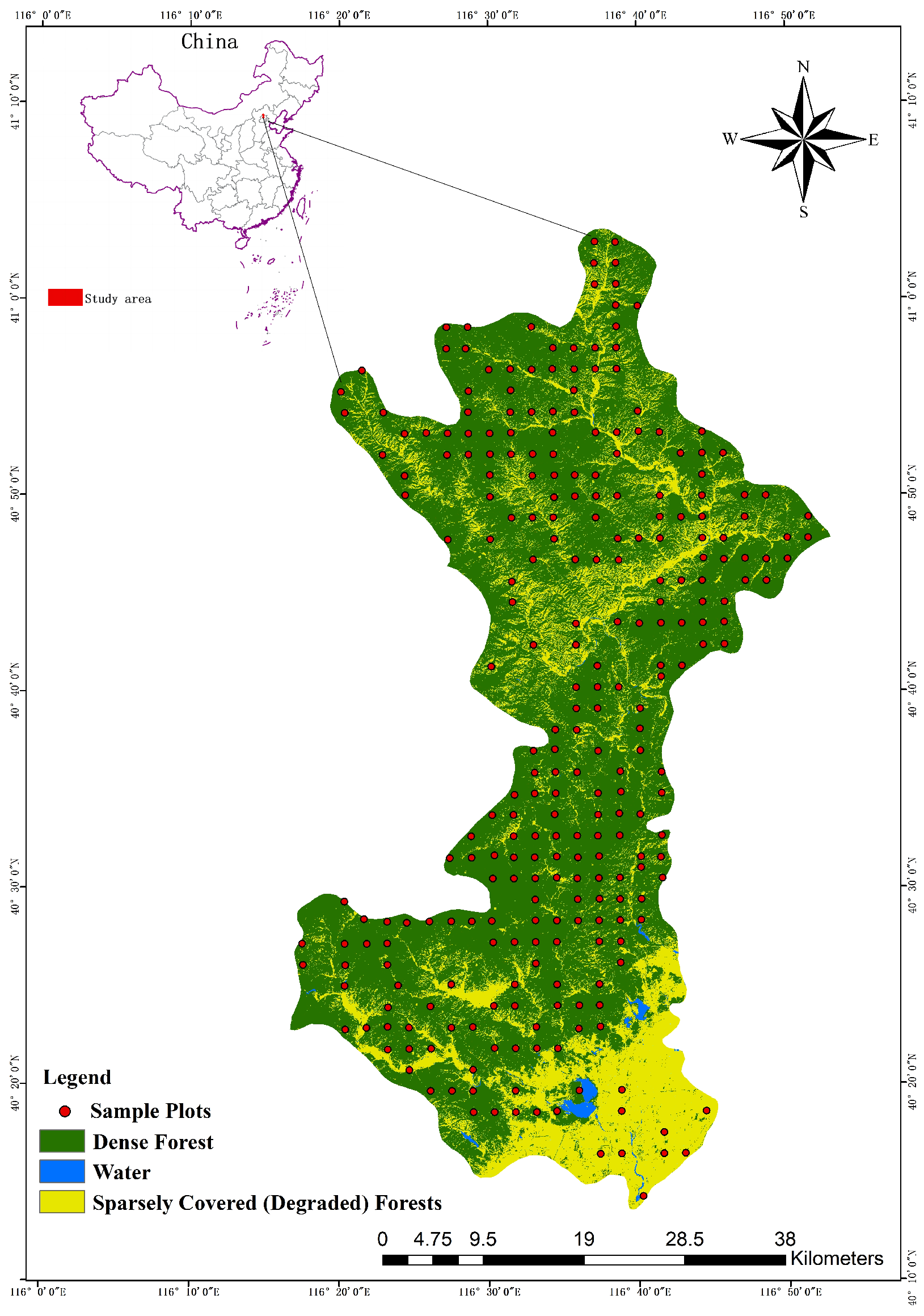 Forests 14 01345 g001 Forests 14 01345 g001