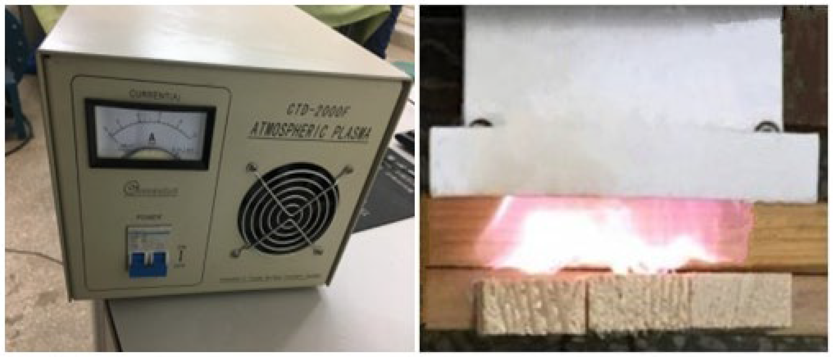 Forests 14 01346 g001 Forests 14 01346 g001