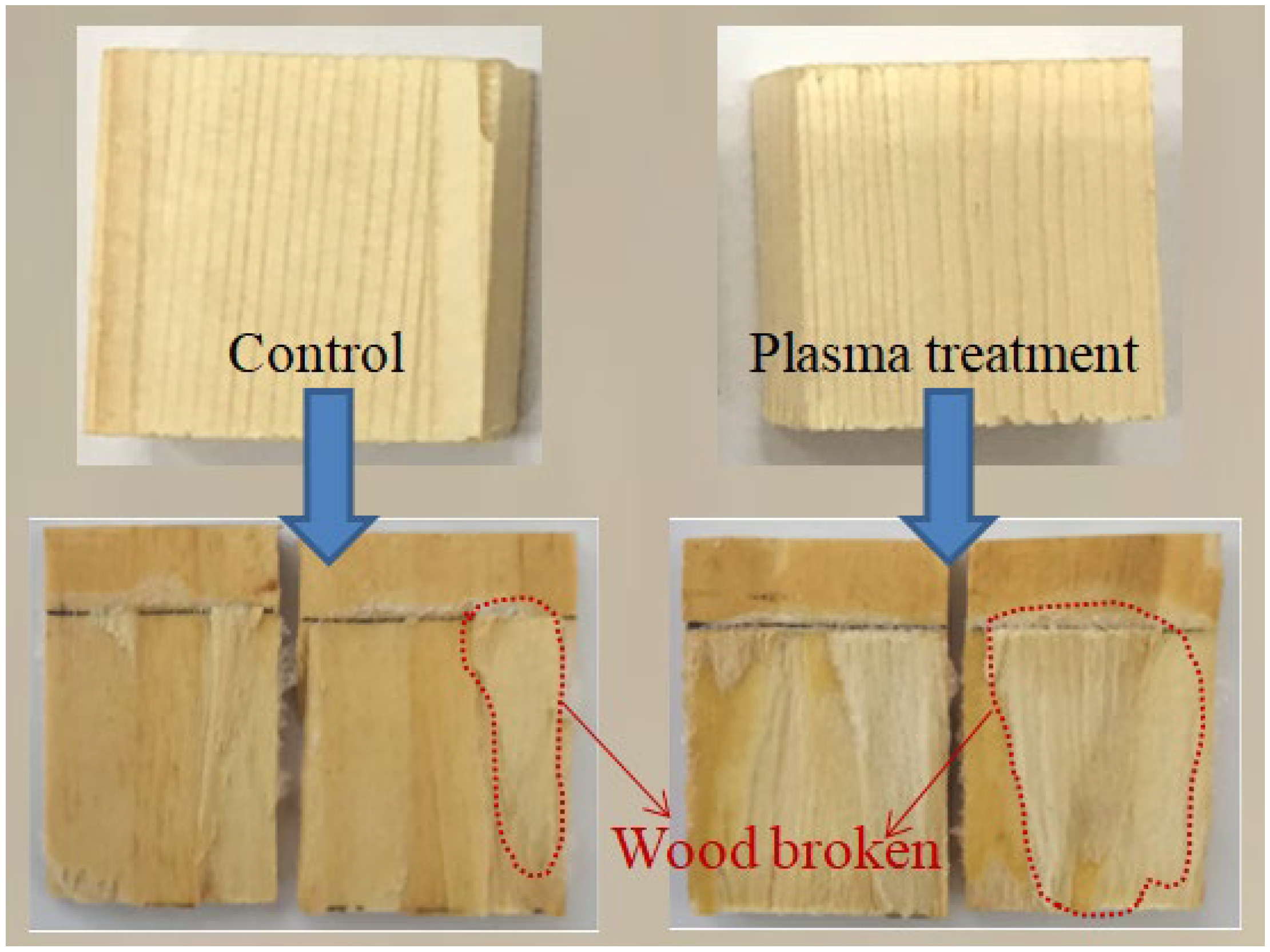 Forests 14 01346 g005 Forests 14 01346 g005