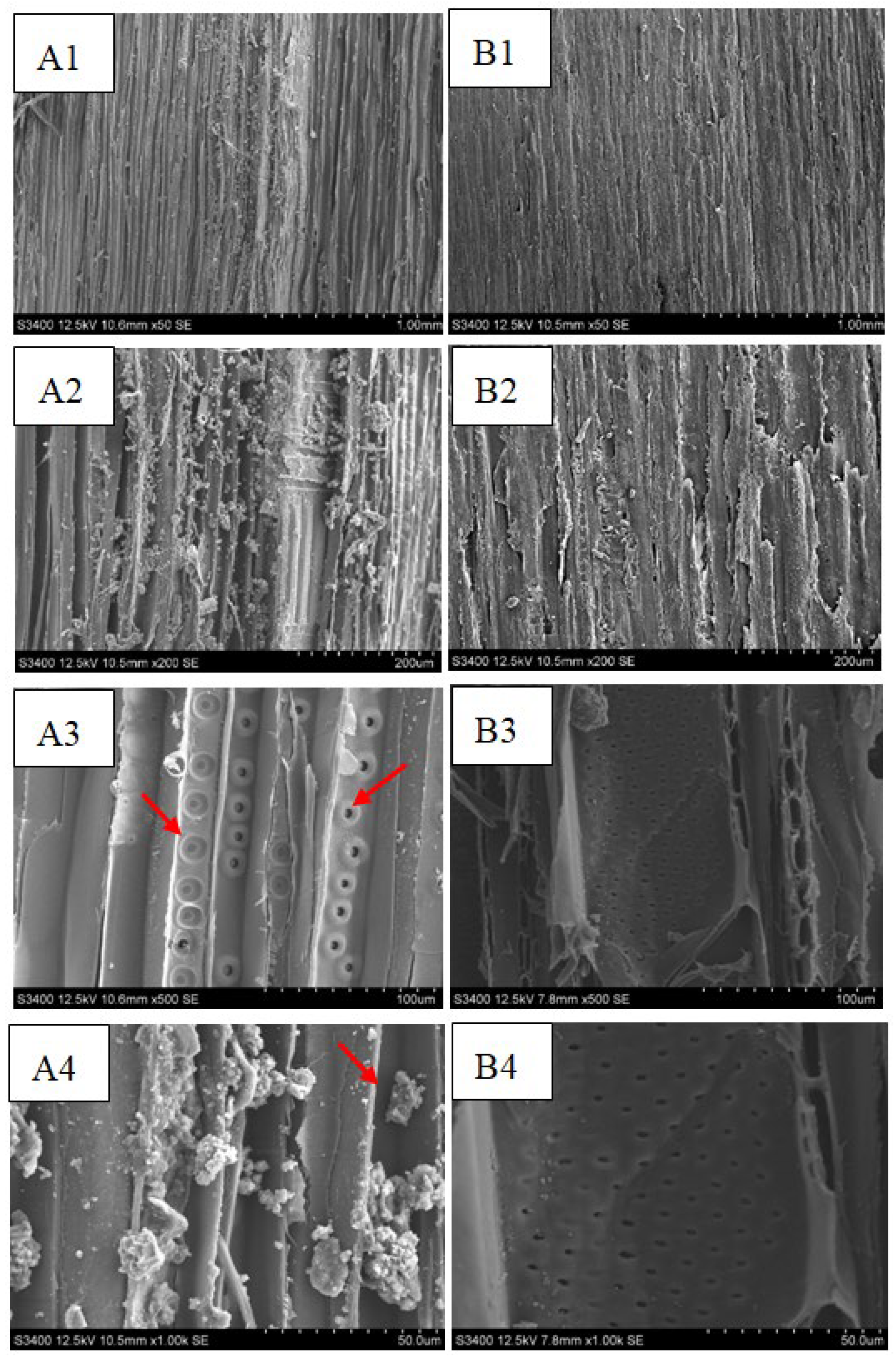 Forests 14 01346 g013 Forests 14 01346 g013