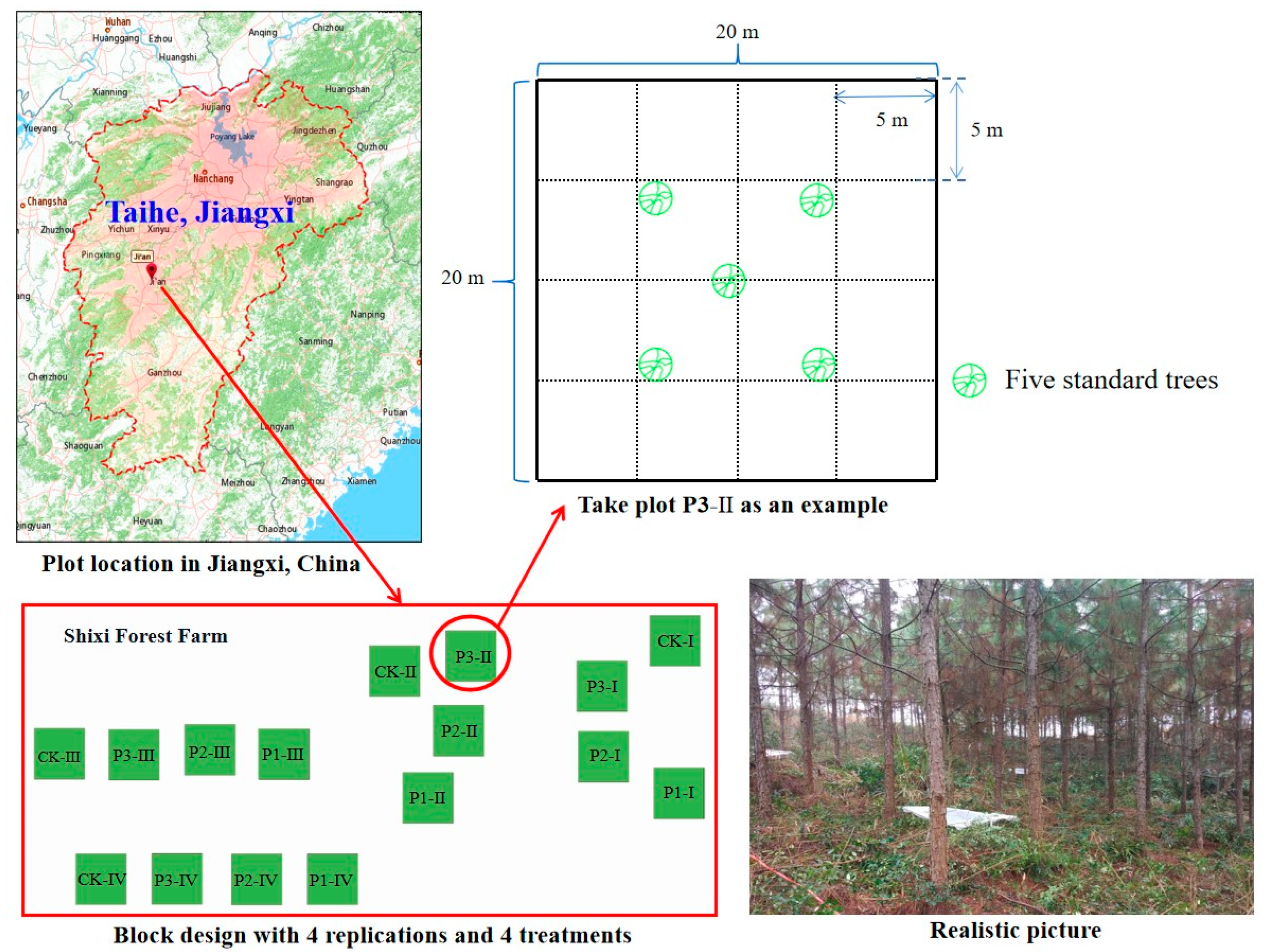 Forests 14 01355 g001