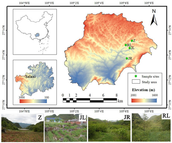 Afforestation Influences Soil Aggregate Stability by