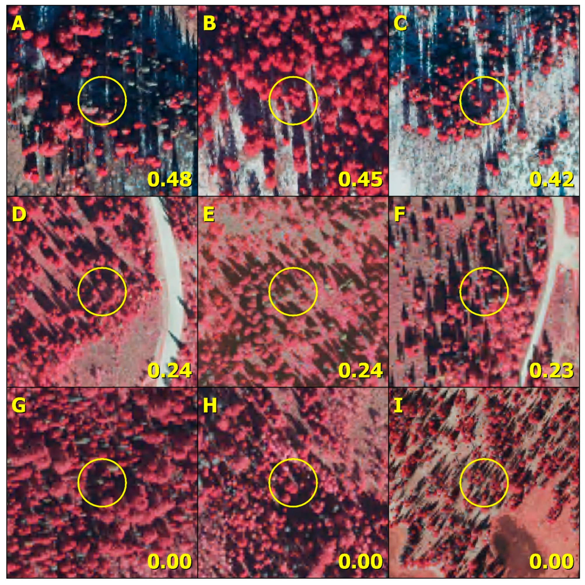 Forests 14 01357 g005