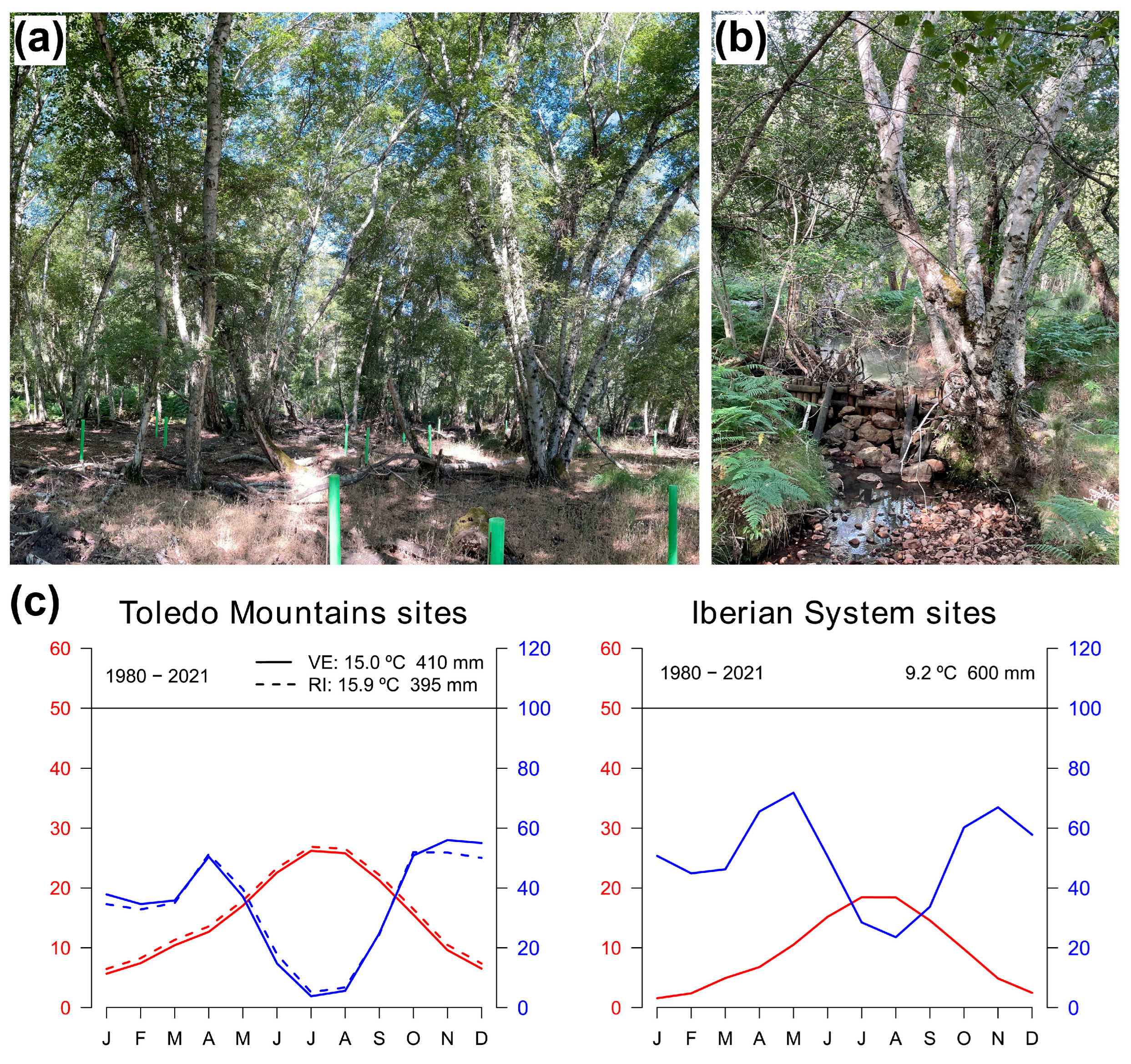 Forests 14 01360 g0a1 Forests 14 01360 g0a1