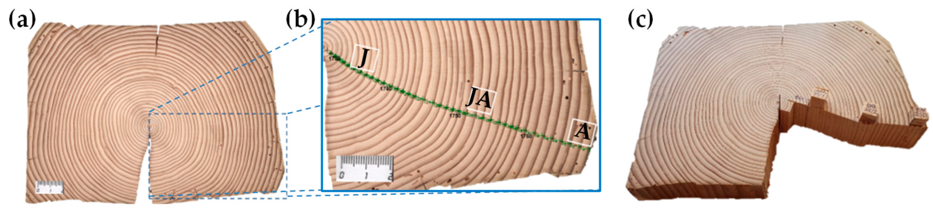 Forests 14 01363 g002 Forests 14 01363 g002