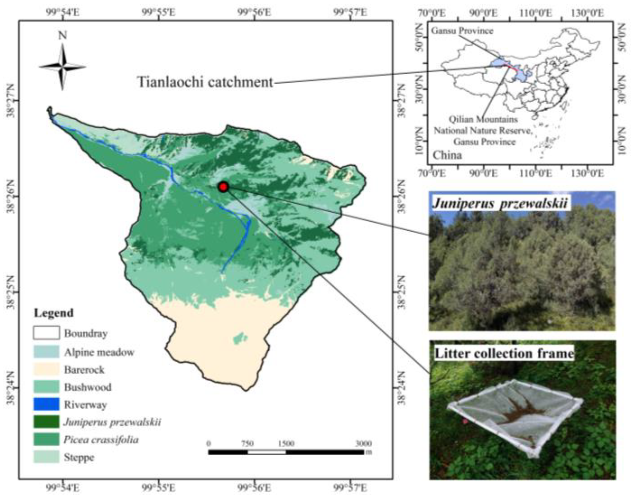 Forests 14 01364 g001 Forests 14 01364 g001