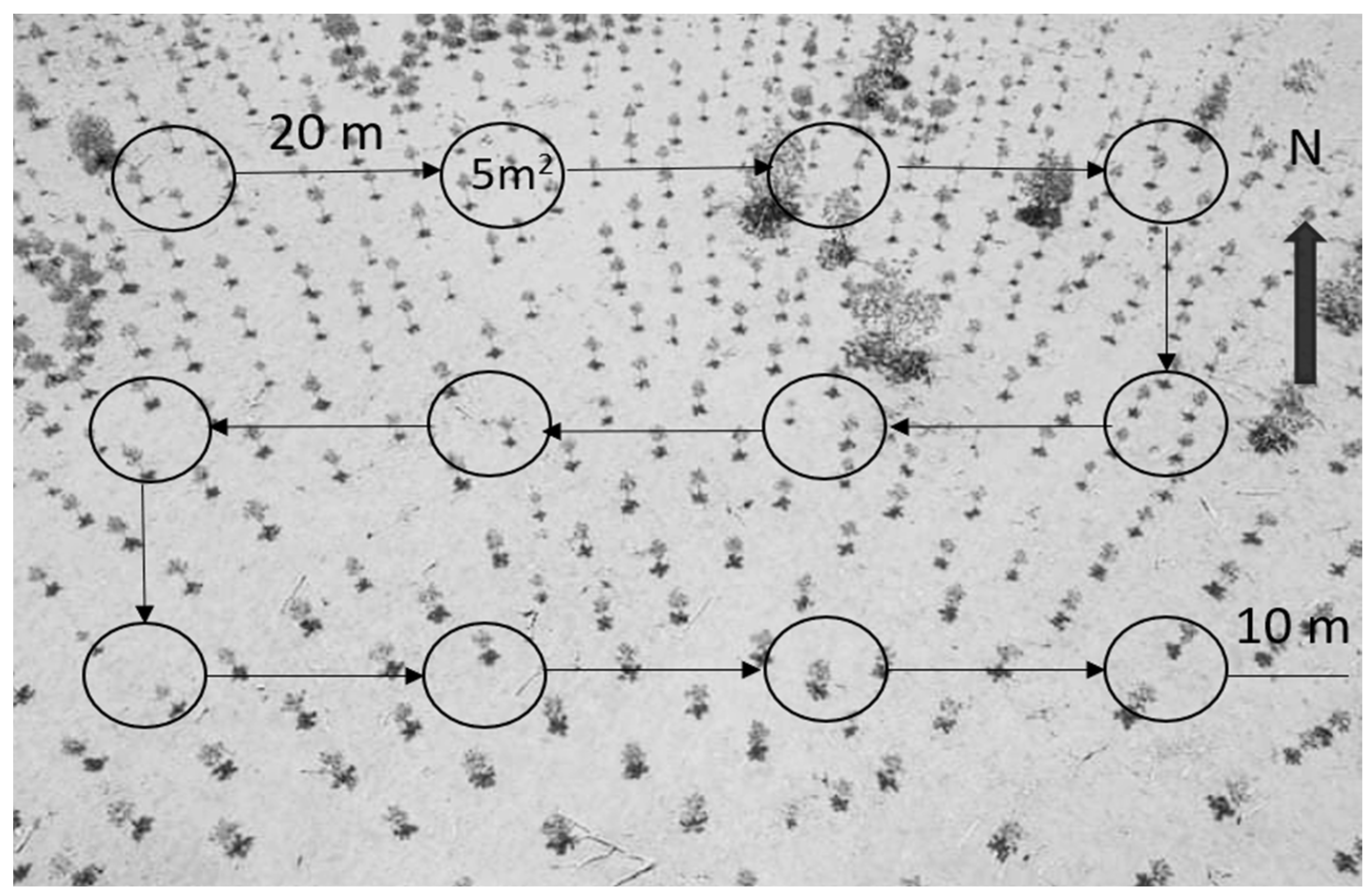 Forests 14 01368 g002