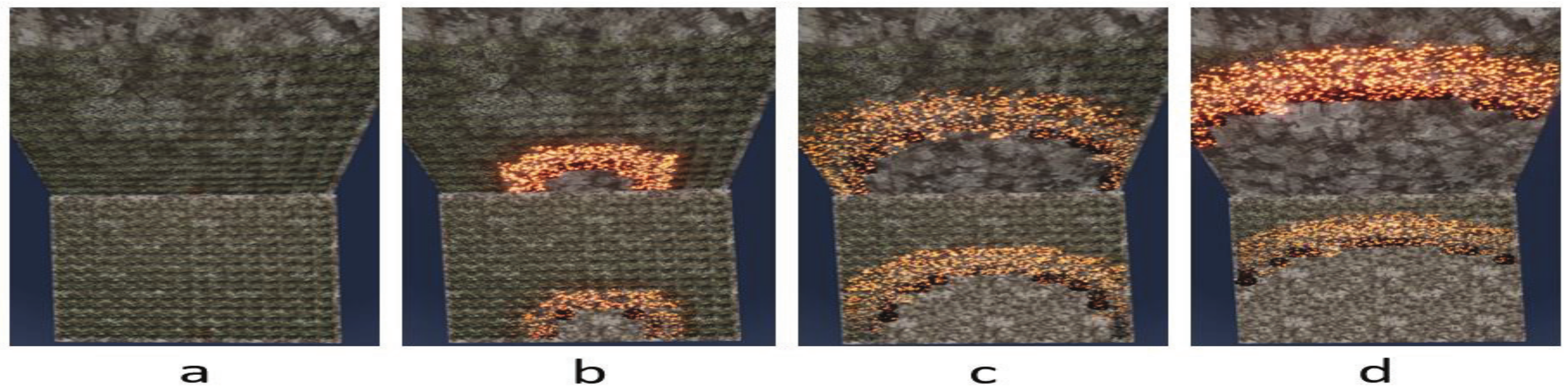 Forests 14 01371 g008 Forests 14 01371 g008