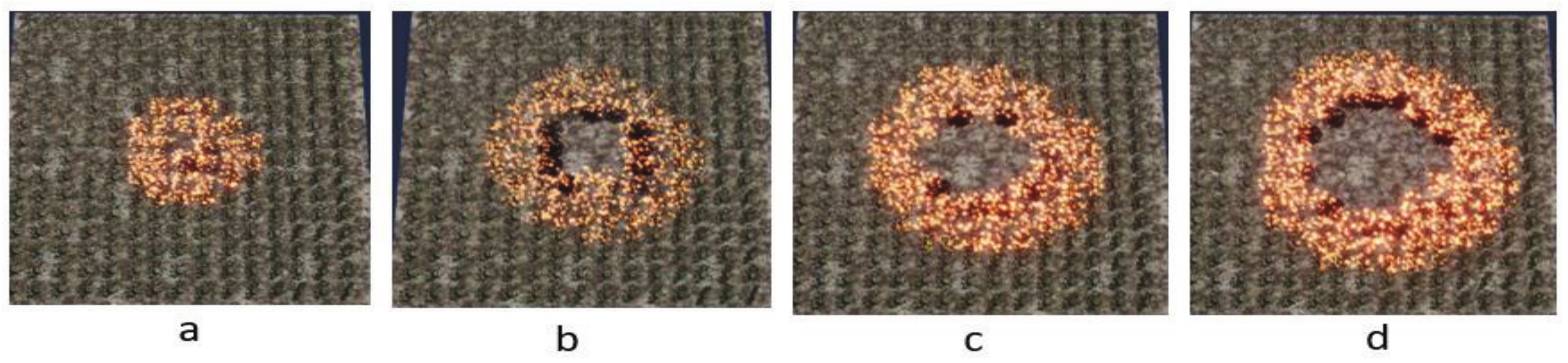 Forests 14 01371 g009 Forests 14 01371 g009