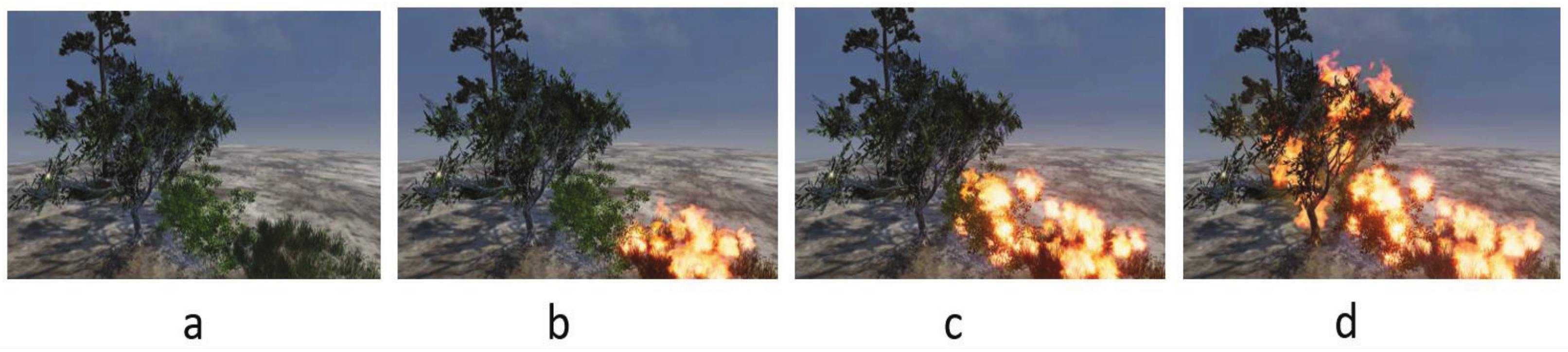 Forests 14 01371 g011 Forests 14 01371 g011