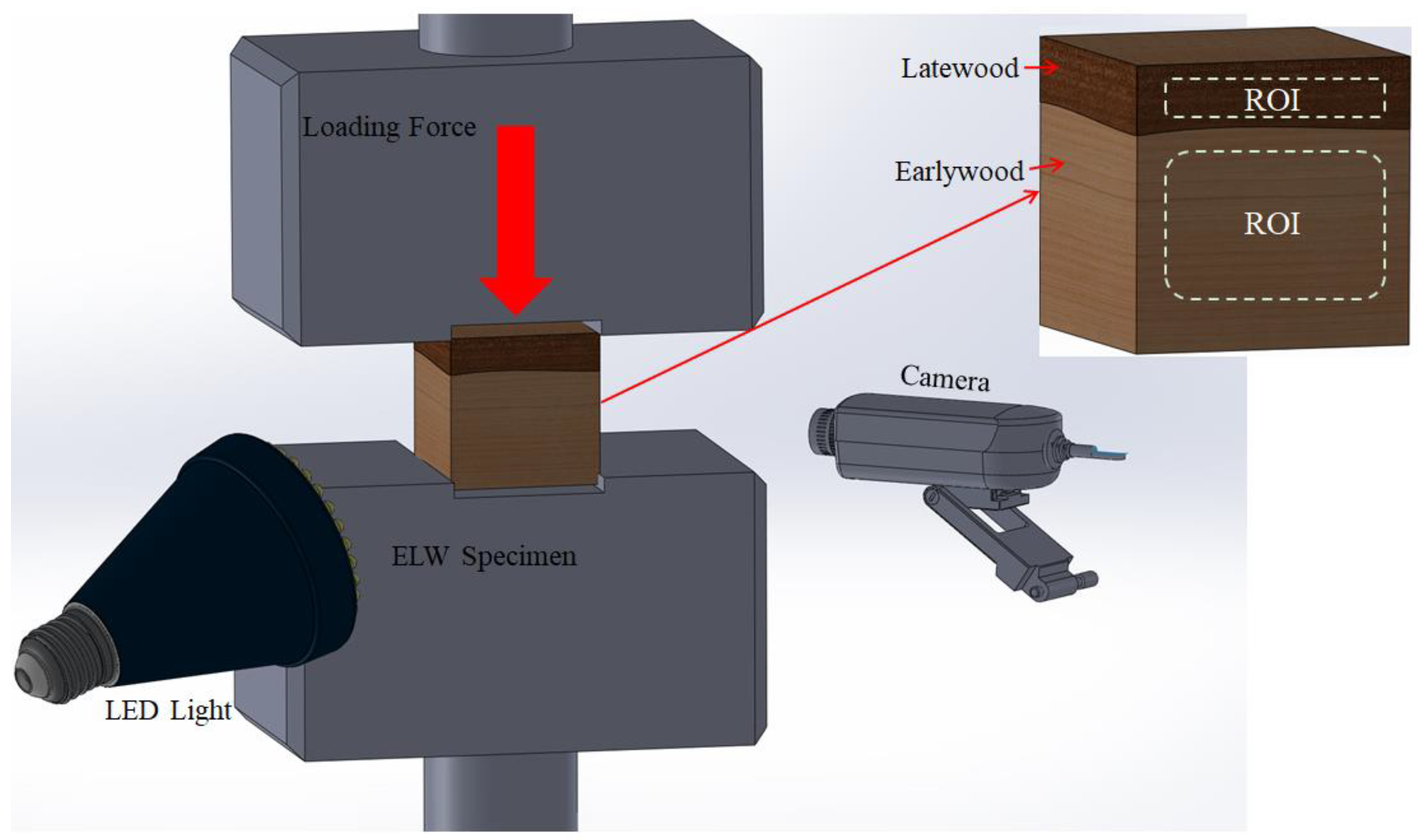 Forests 14 01376 g002